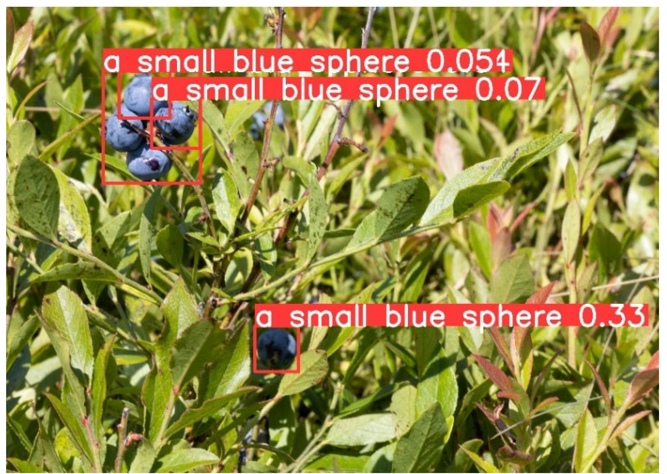 Agronomy 14 02830 g004