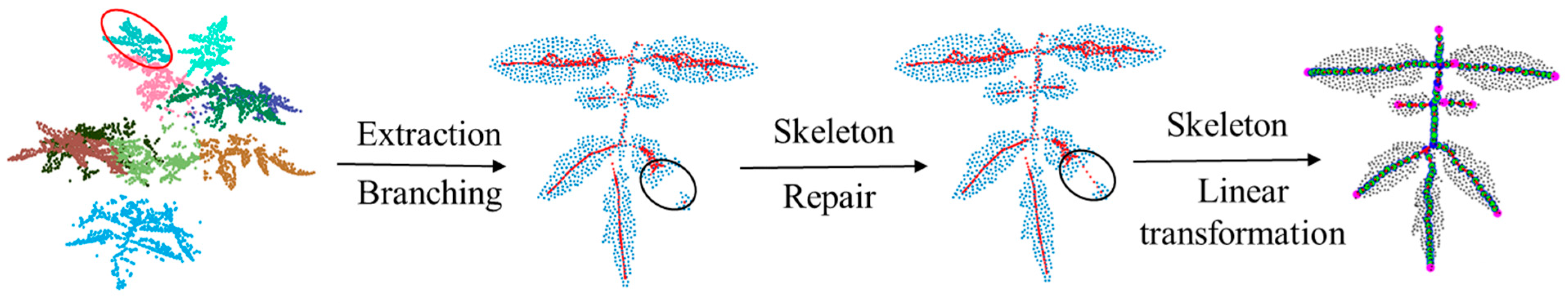 Agronomy 14 02837 g005