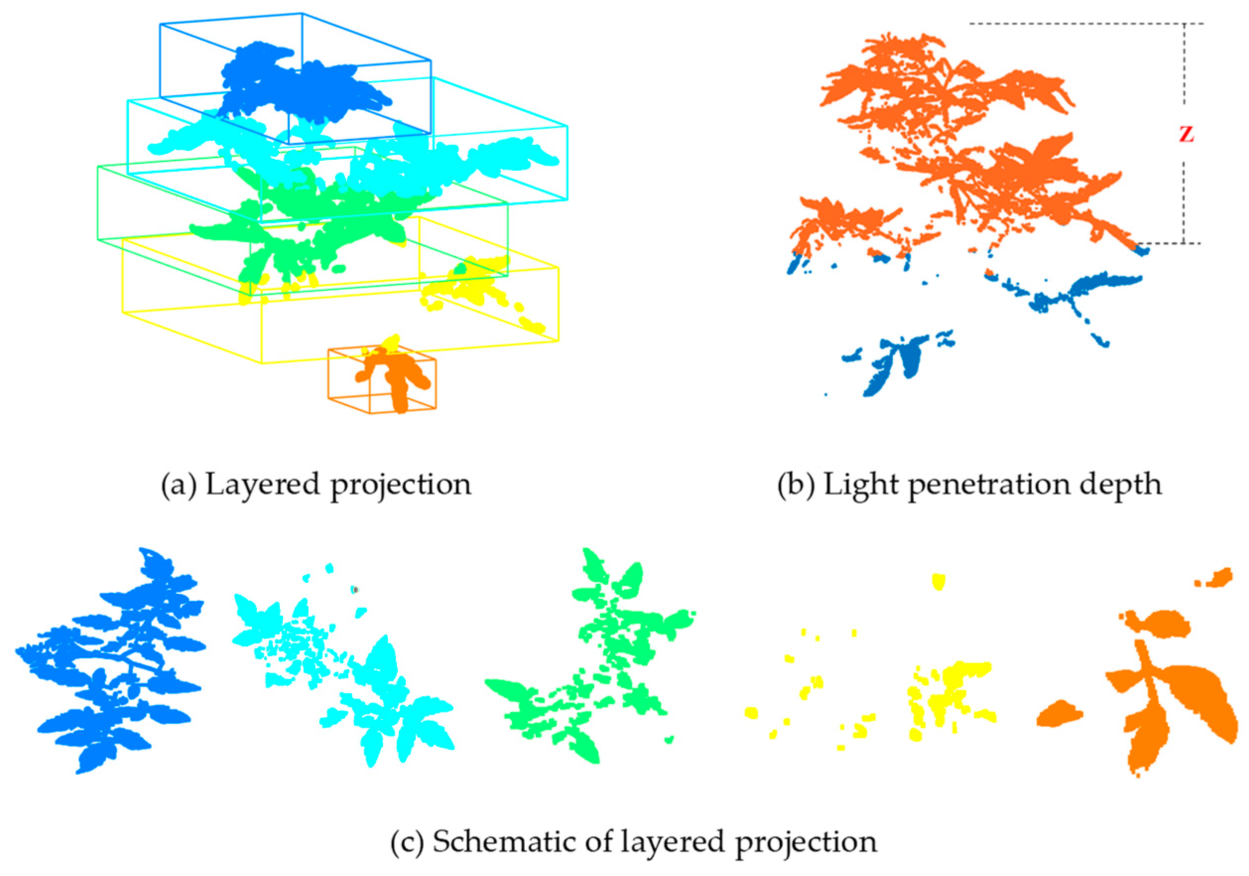 Agronomy 14 02837 g012