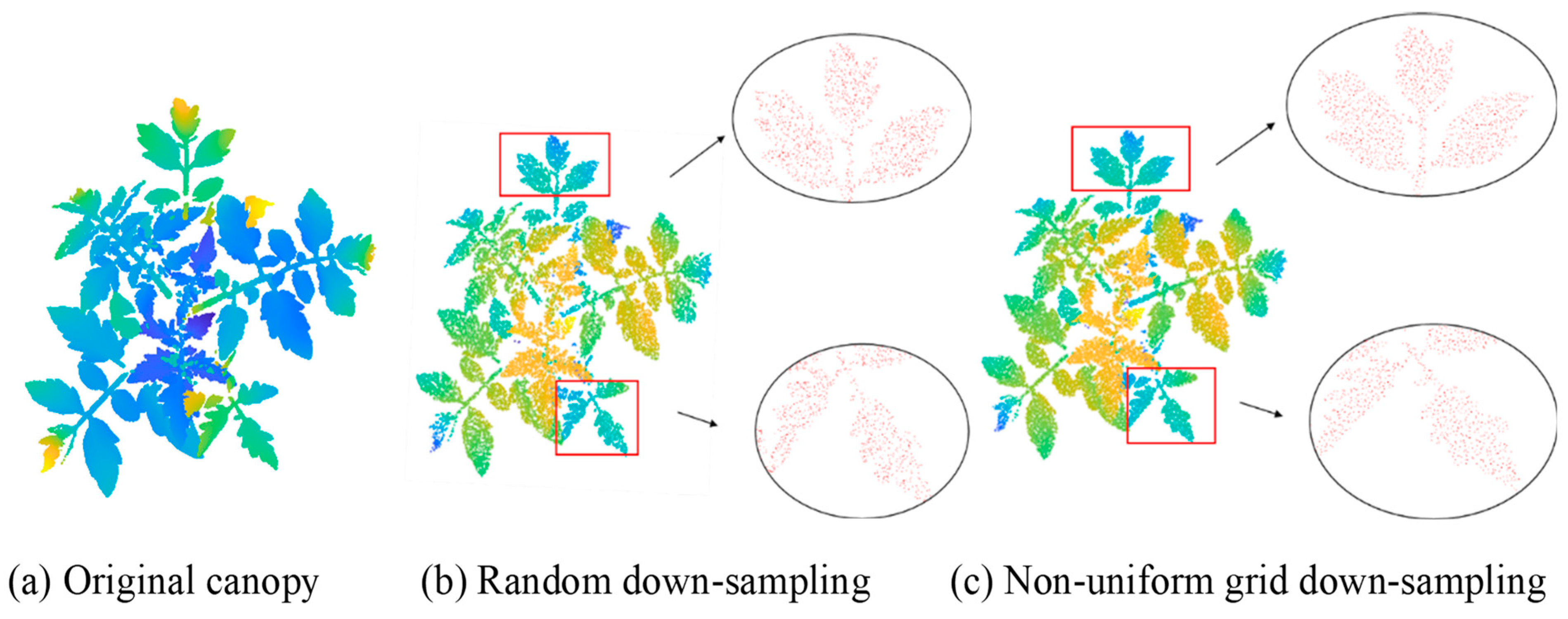 Agronomy 14 02837 g014