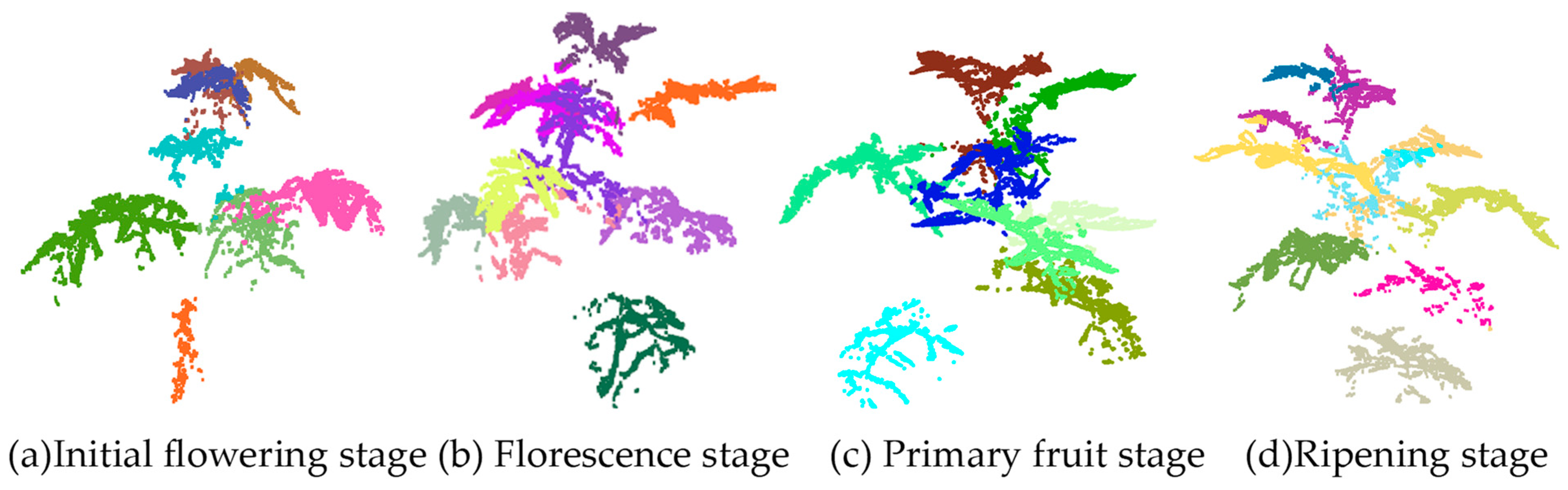 Agronomy 14 02837 g016