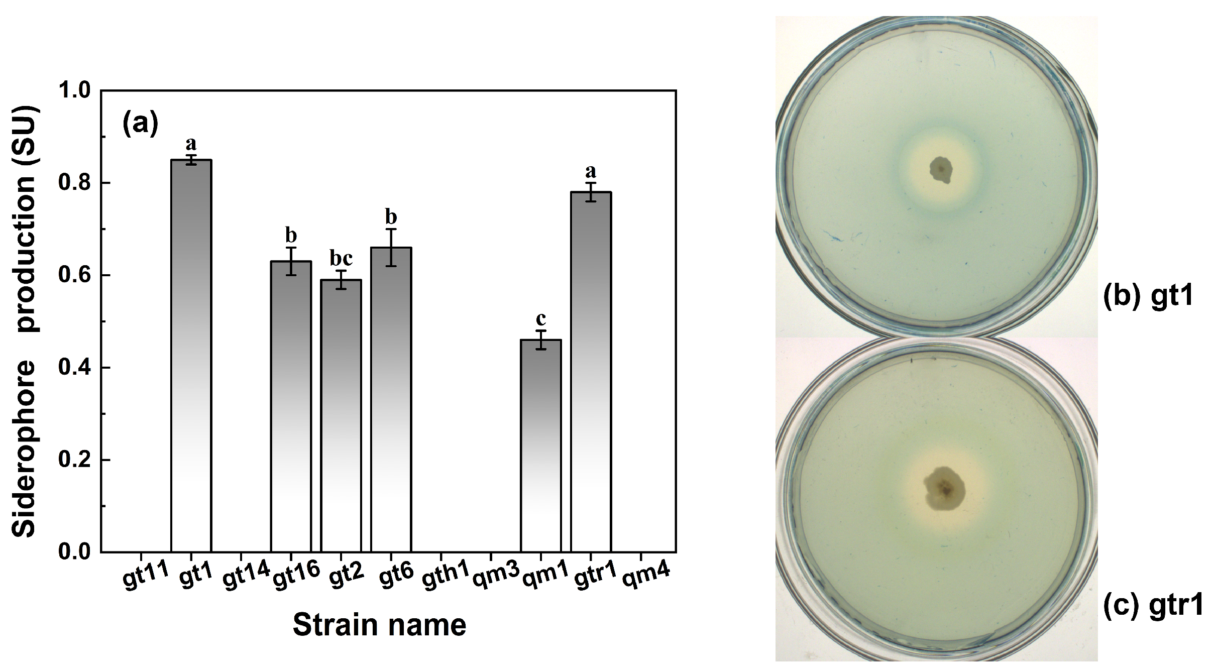 Agronomy 14 02856 g003