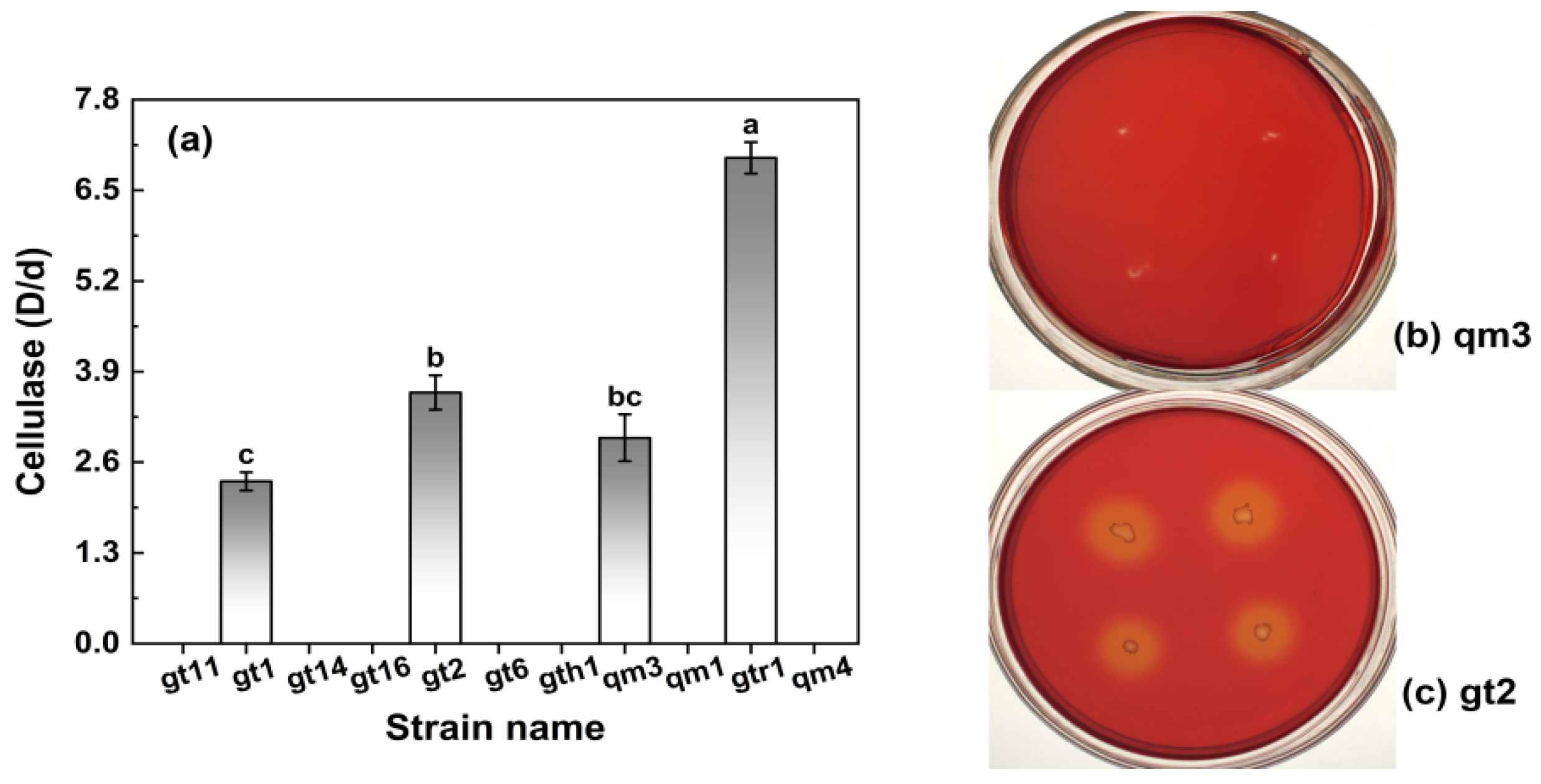 Agronomy 14 02856 g005