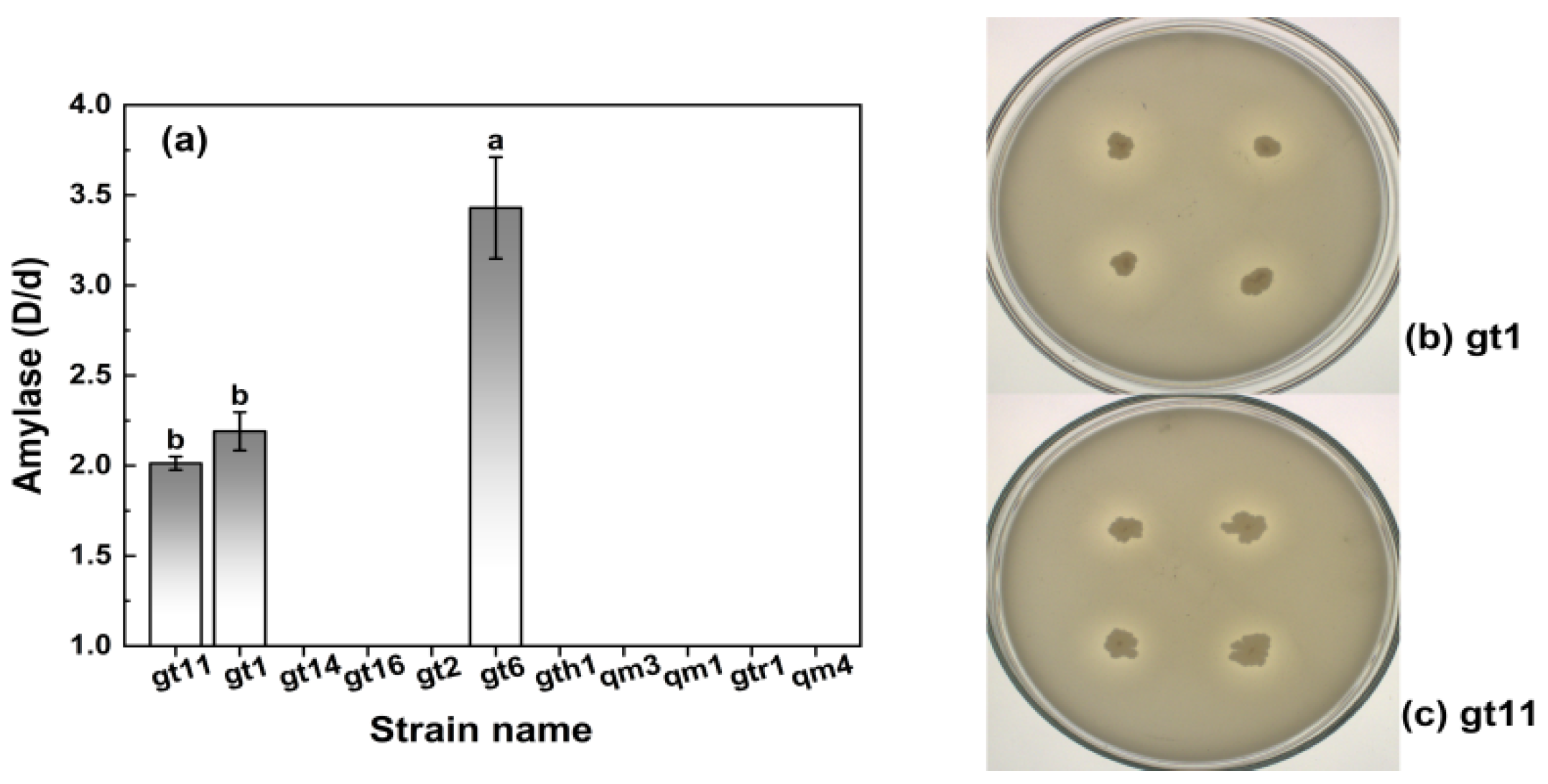 Agronomy 14 02856 g006