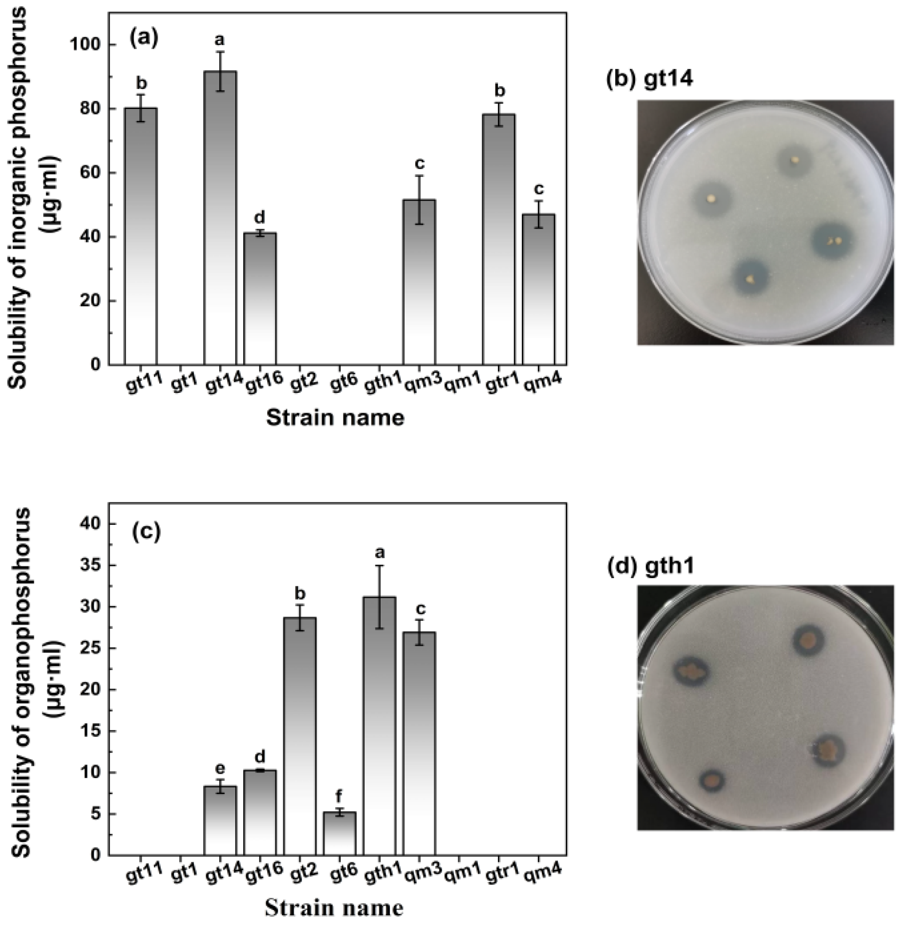 Agronomy 14 02856 g007