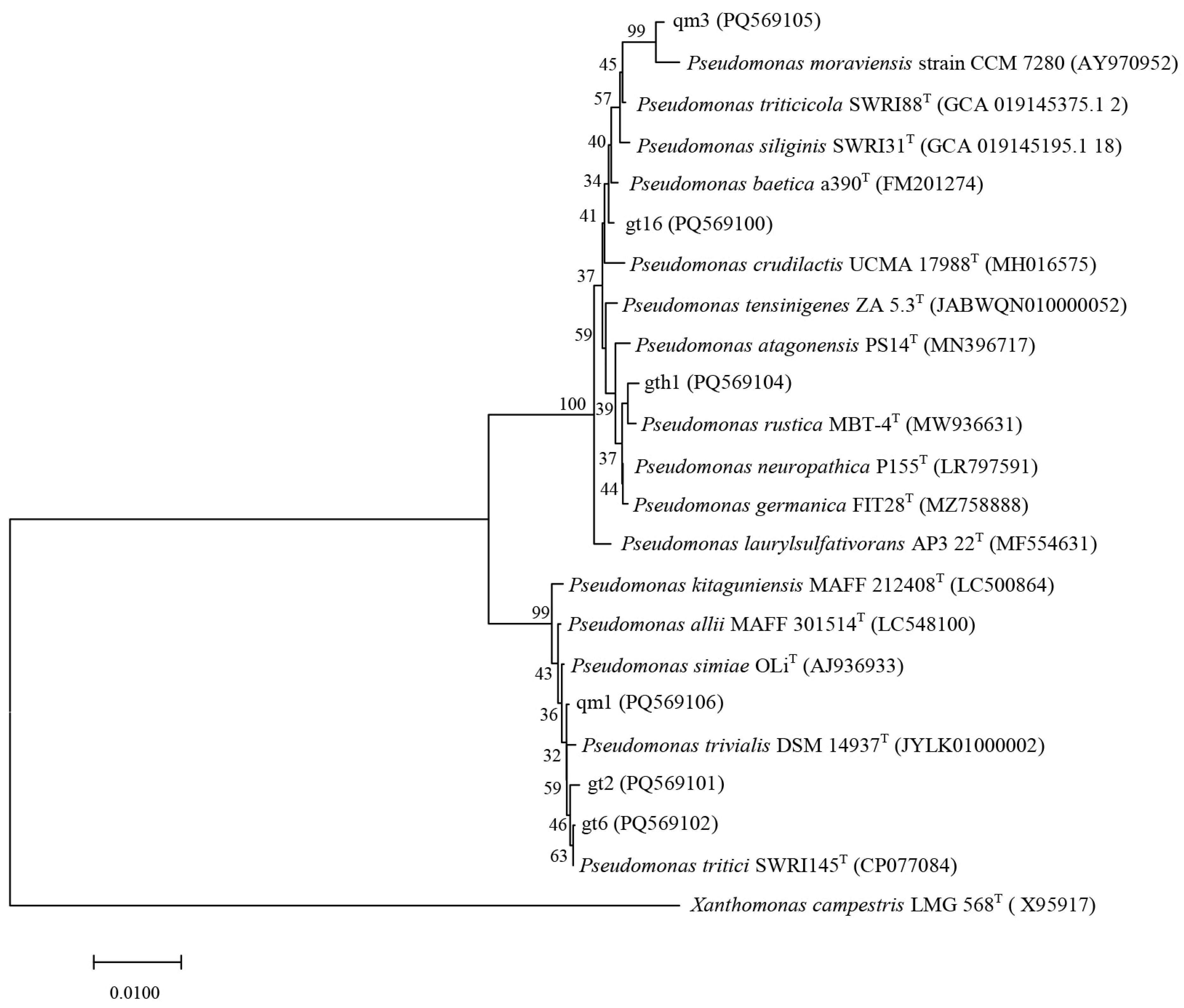 Agronomy 14 02856 g008