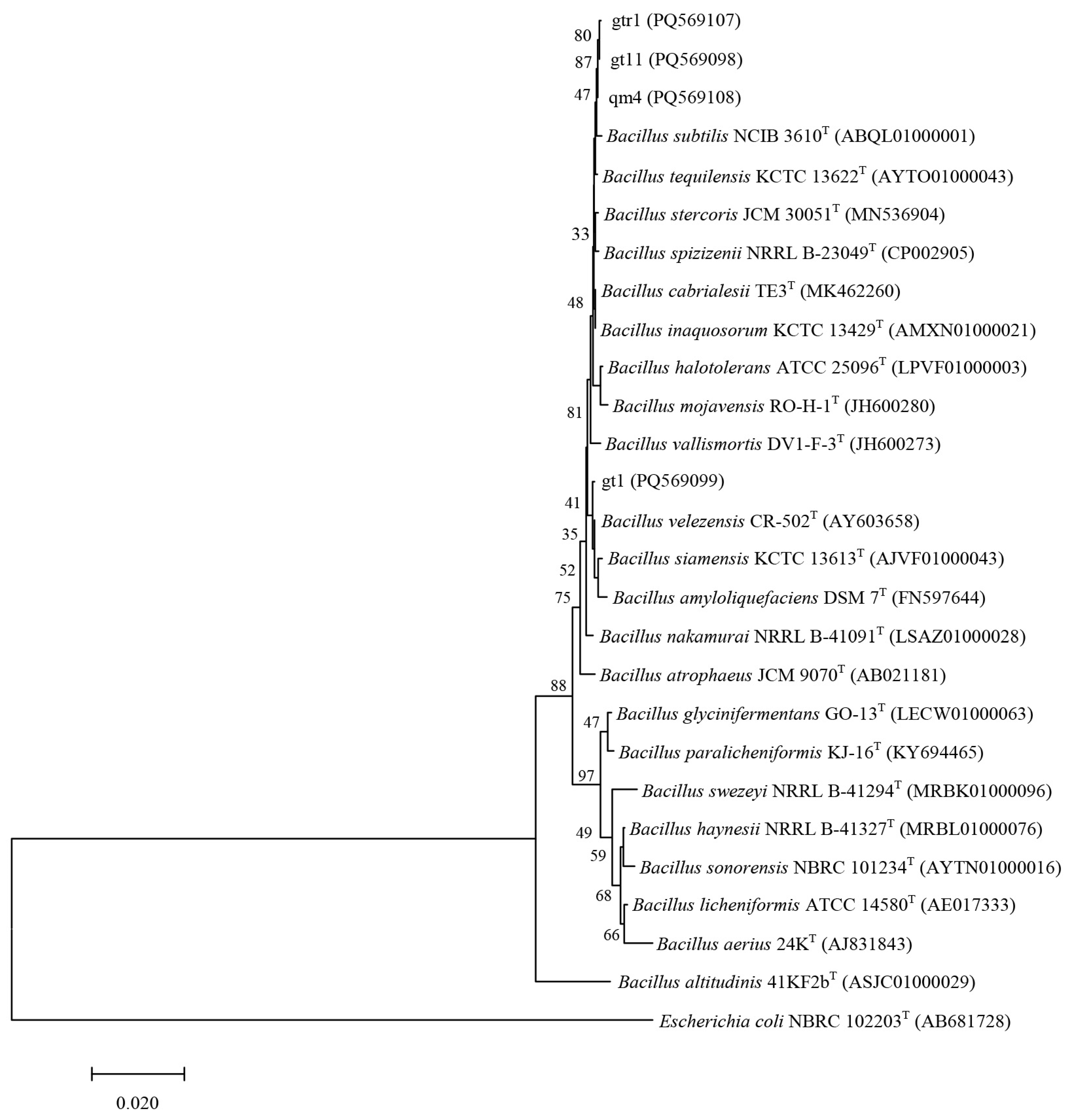 Agronomy 14 02856 g009