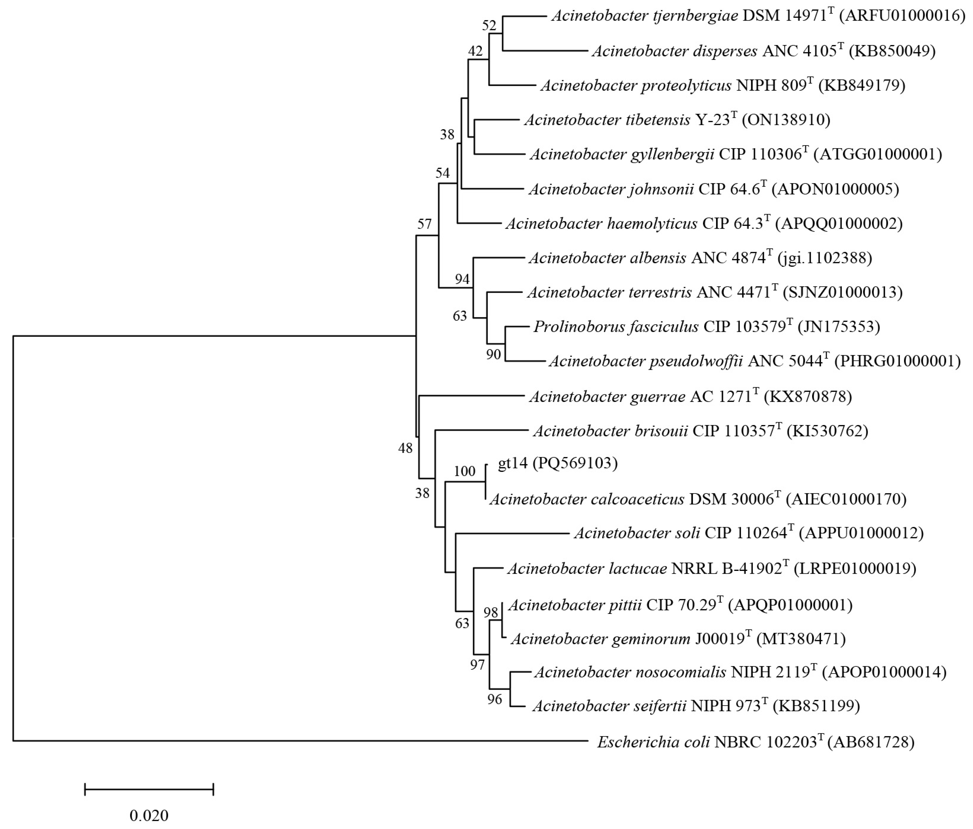 Agronomy 14 02856 g010