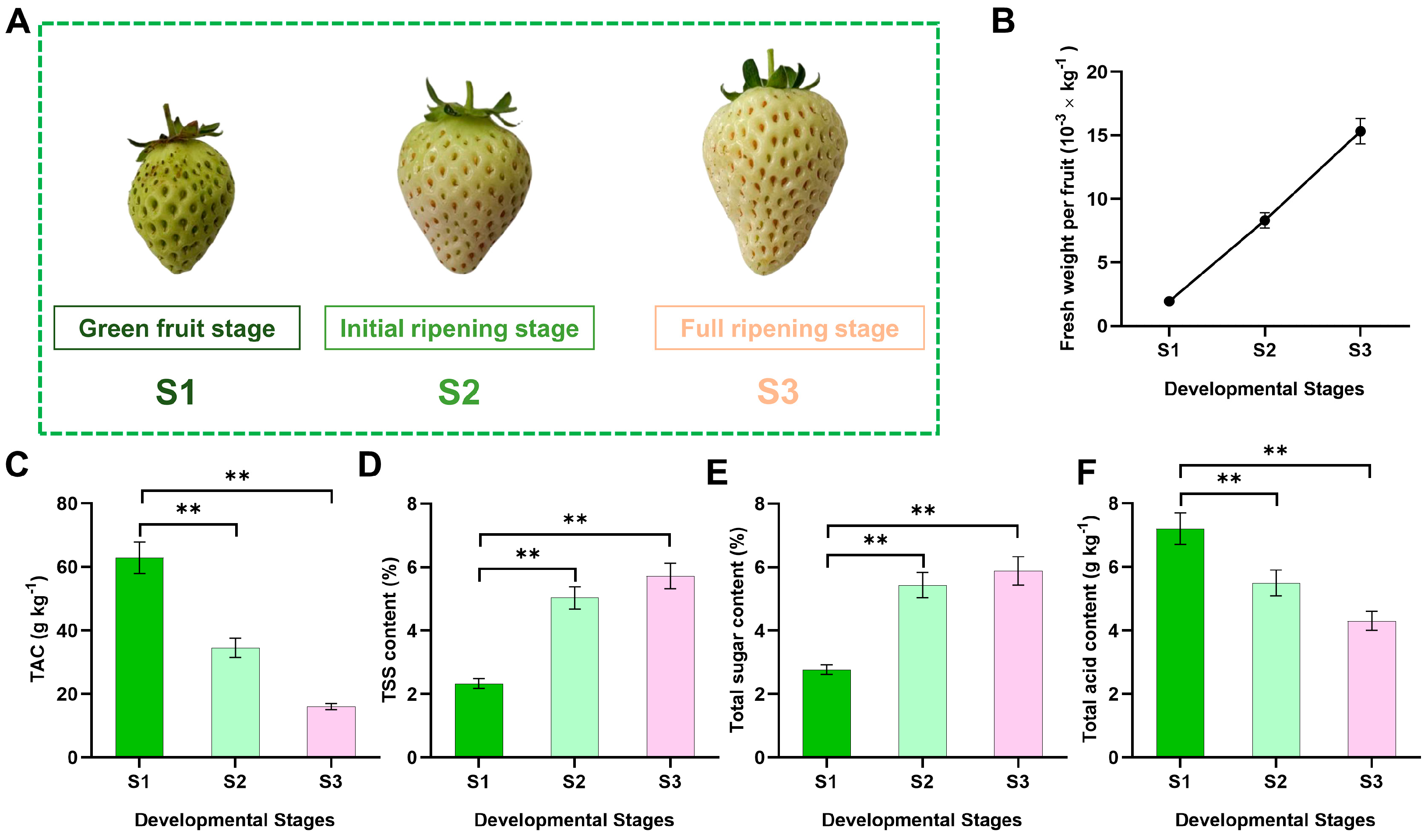 Agronomy 14 02860 g001