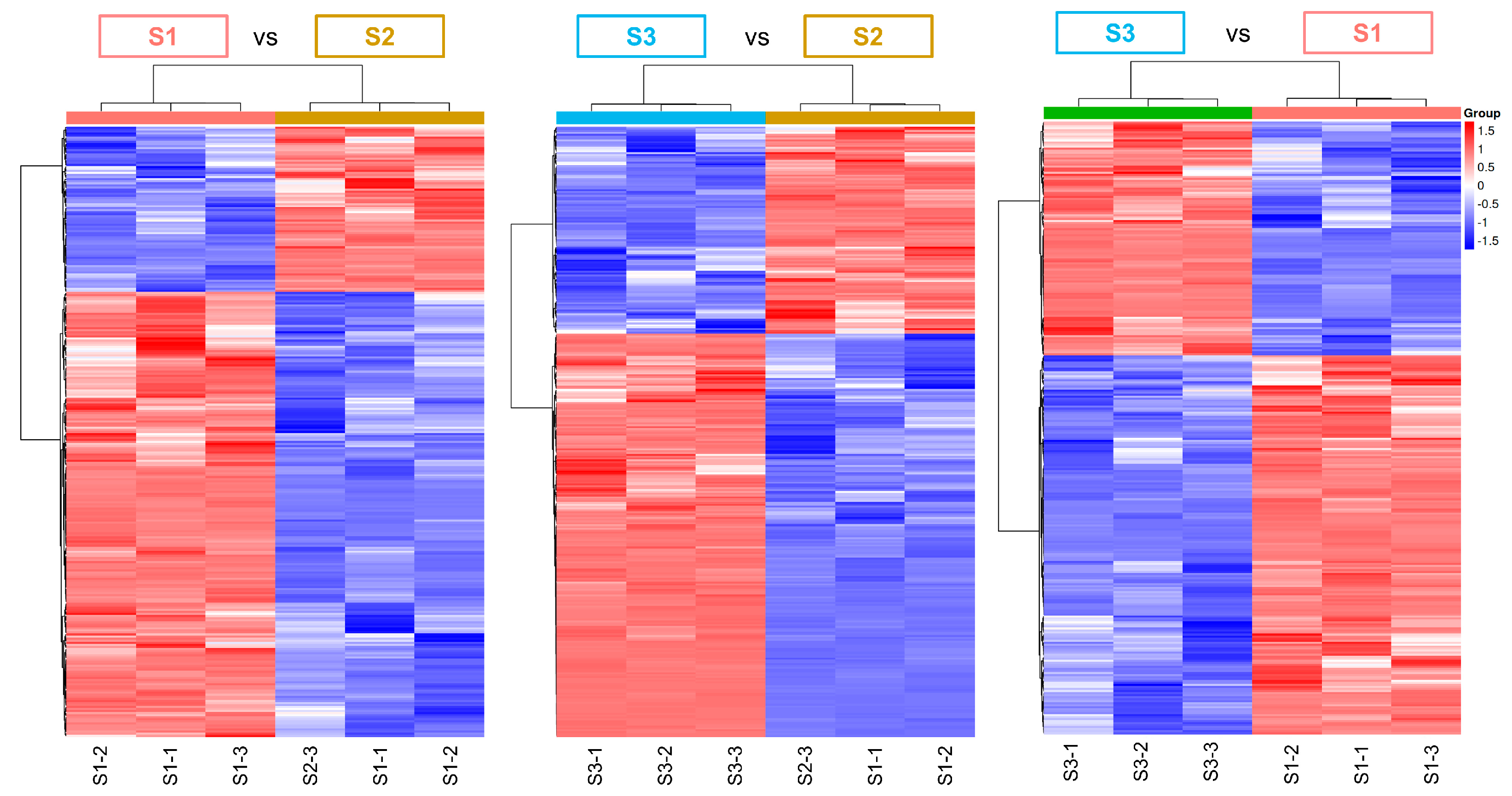 Agronomy 14 02860 g003