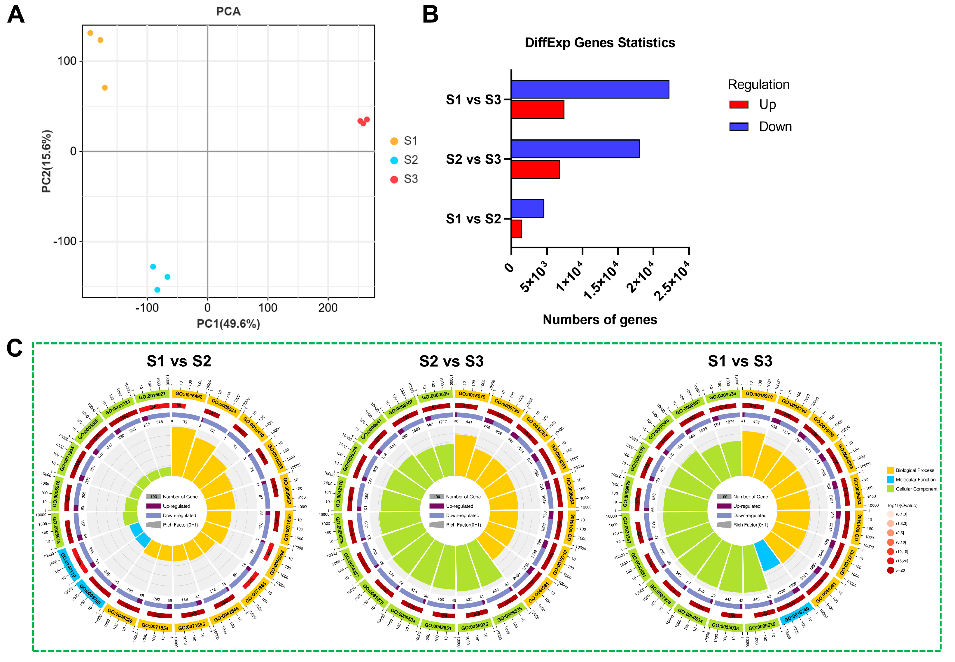 Agronomy 14 02860 g006a