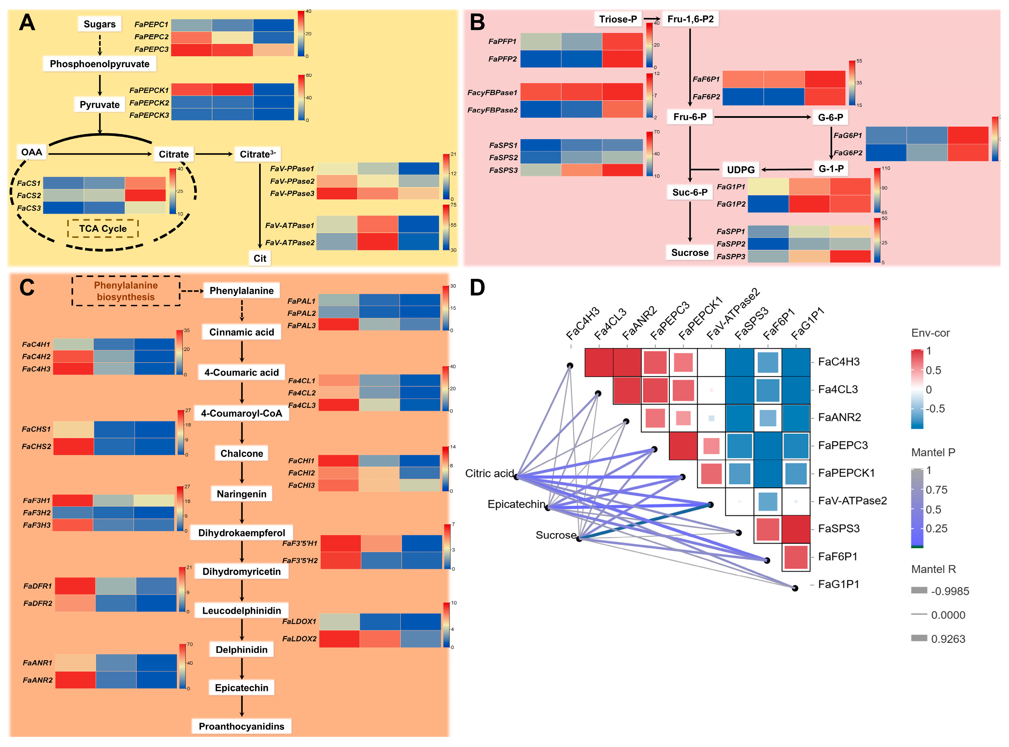 Agronomy 14 02860 g007