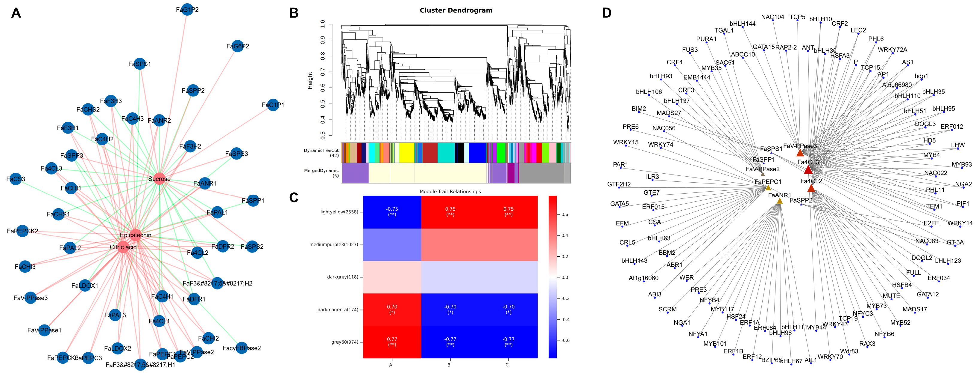 Agronomy 14 02860 g008