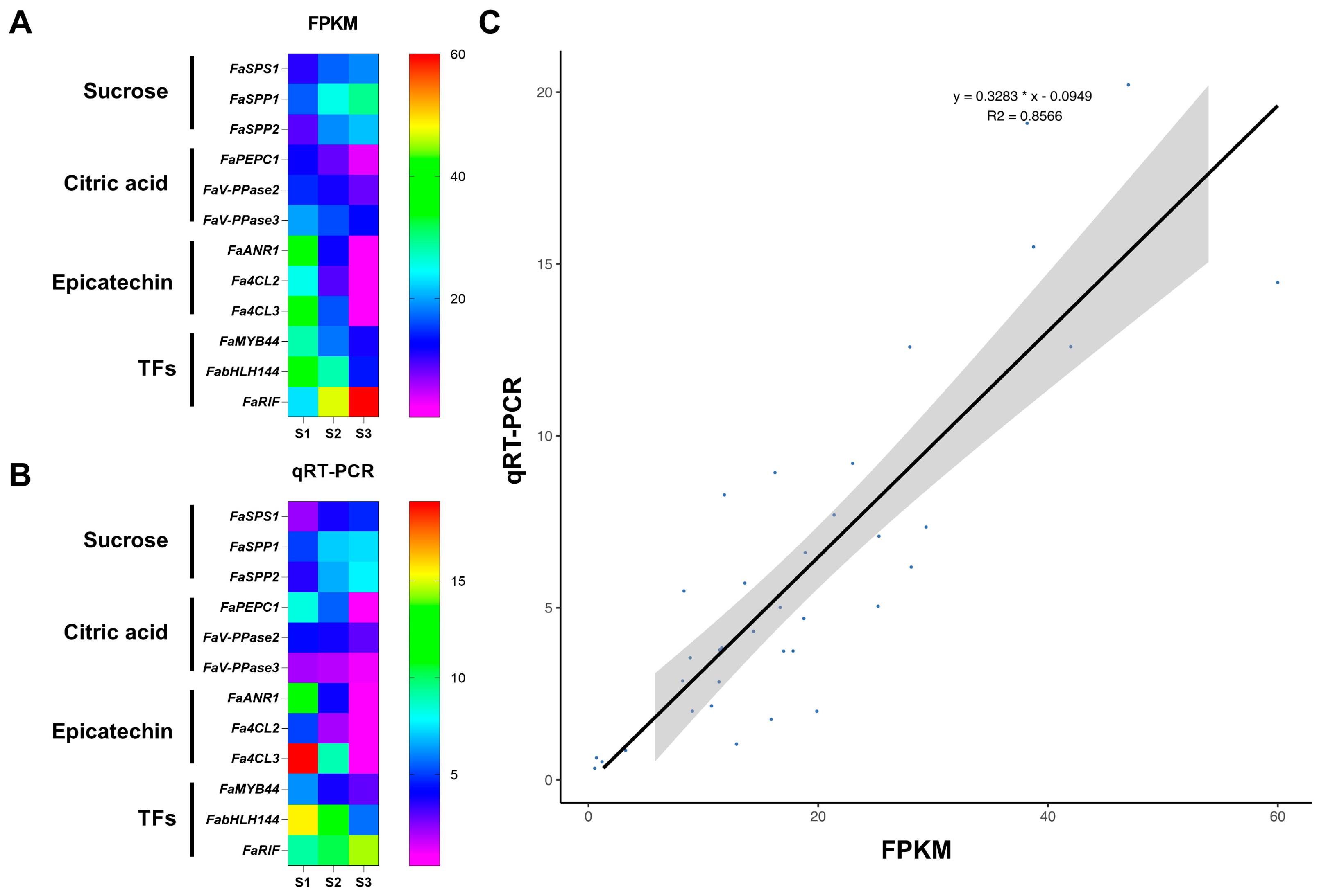 Agronomy 14 02860 g009