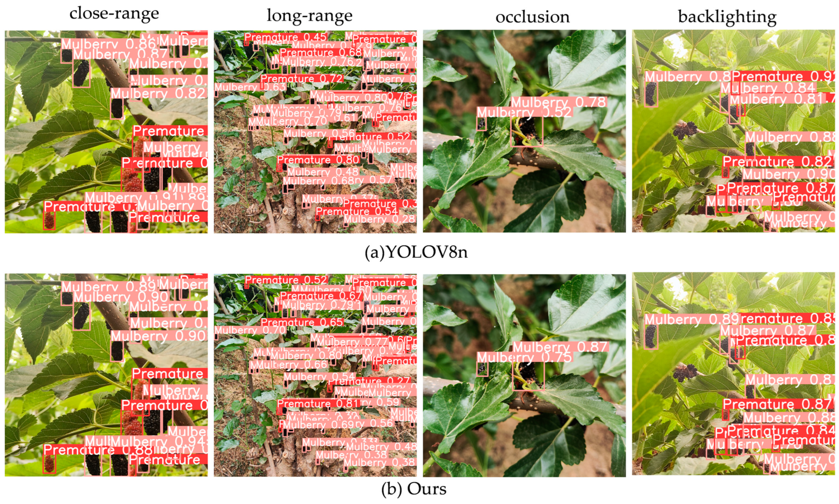 Agronomy 14 02861 g012