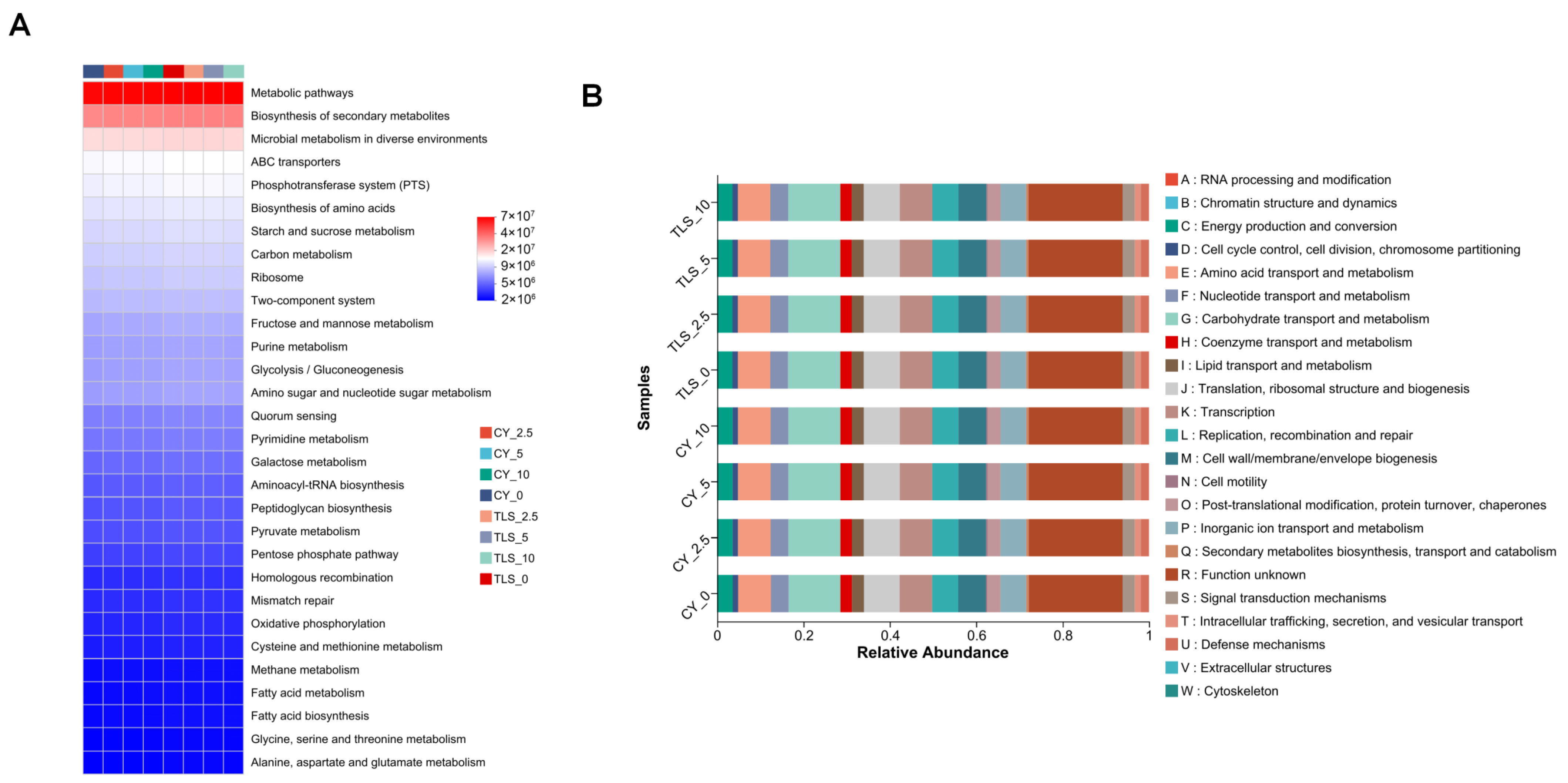 Agronomy 14 02945 g005