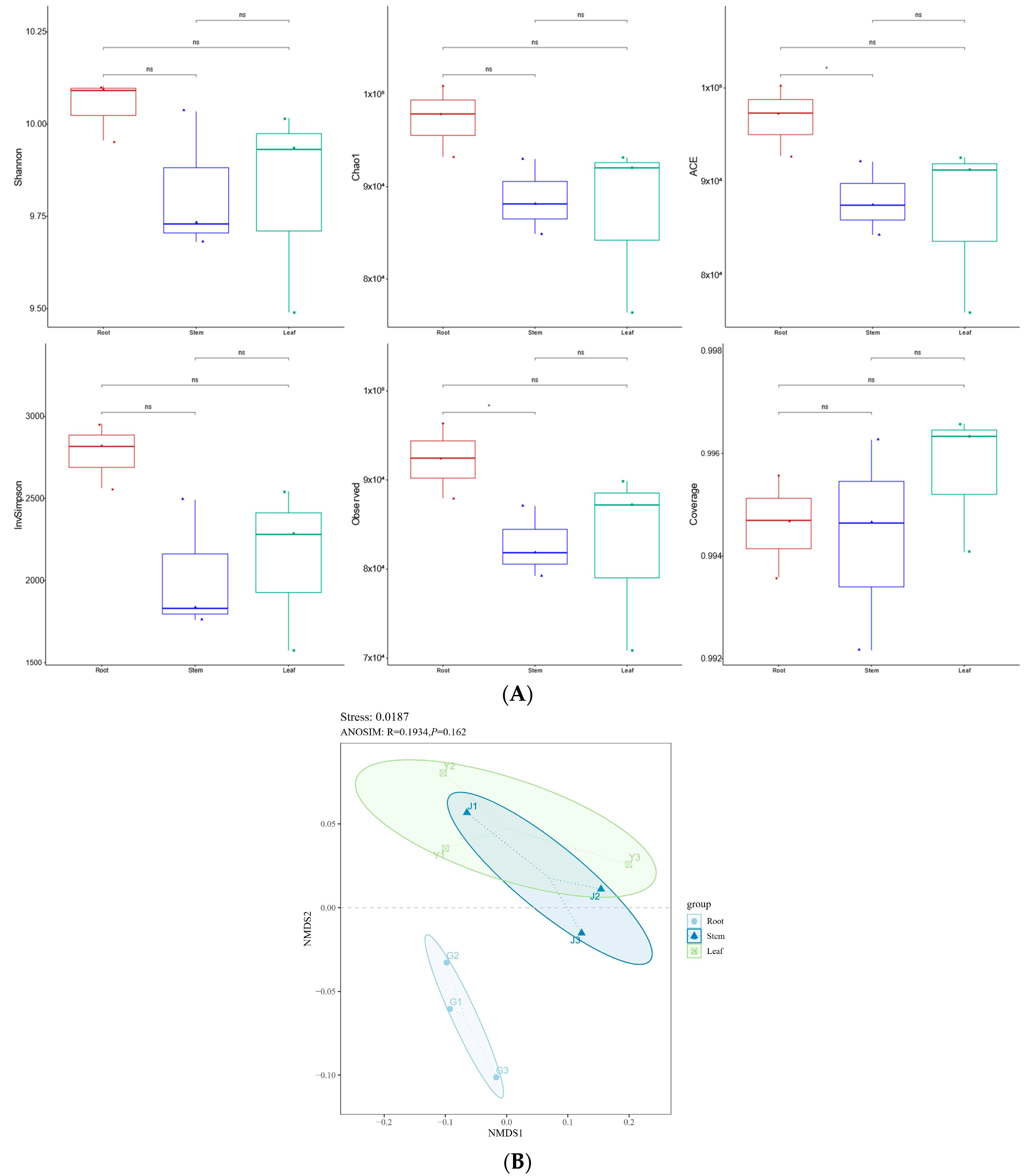 Endophytic Bacterial Communities in Wild Rice (Oryza eichingeri) and ...