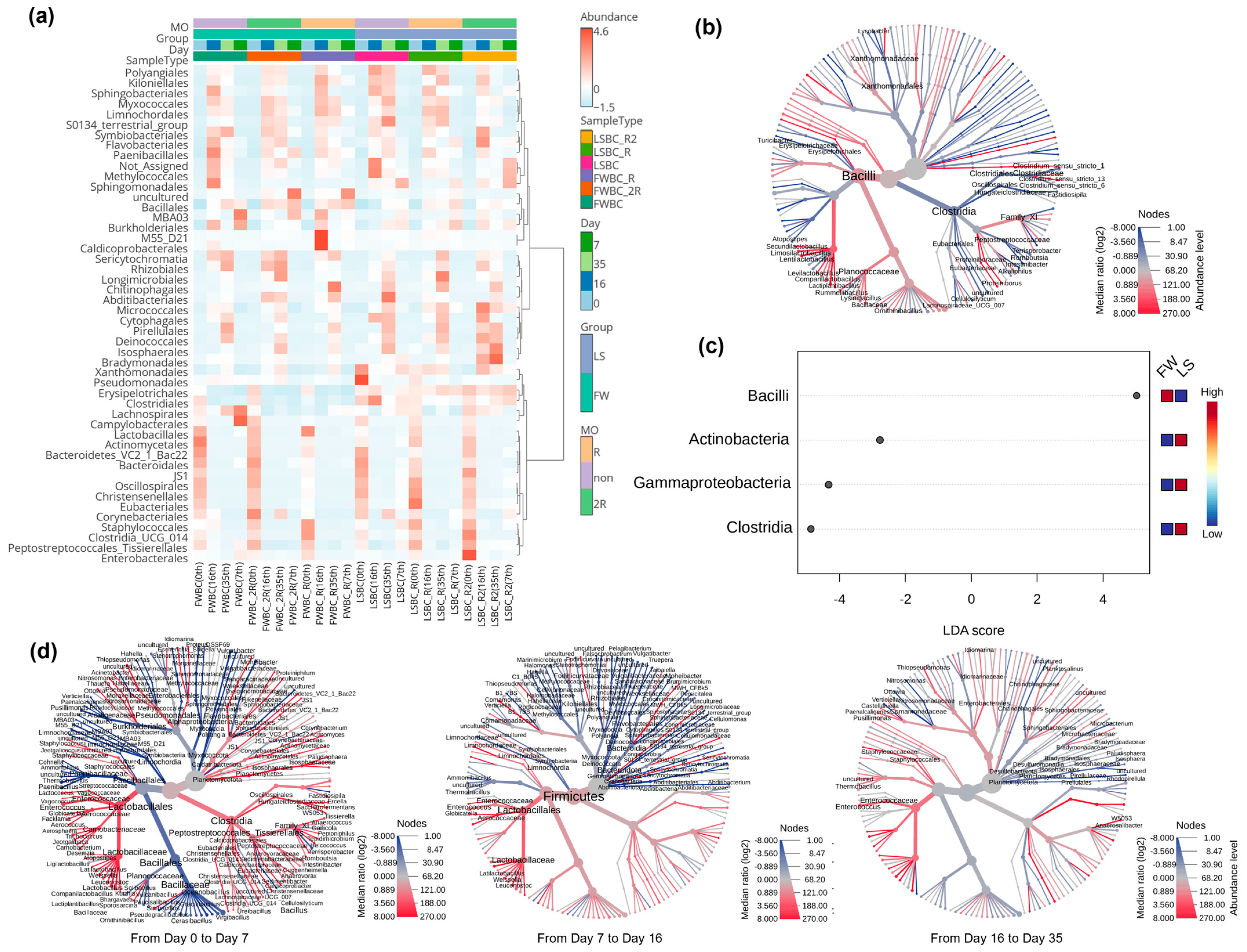 Agronomy 14 02973 g004