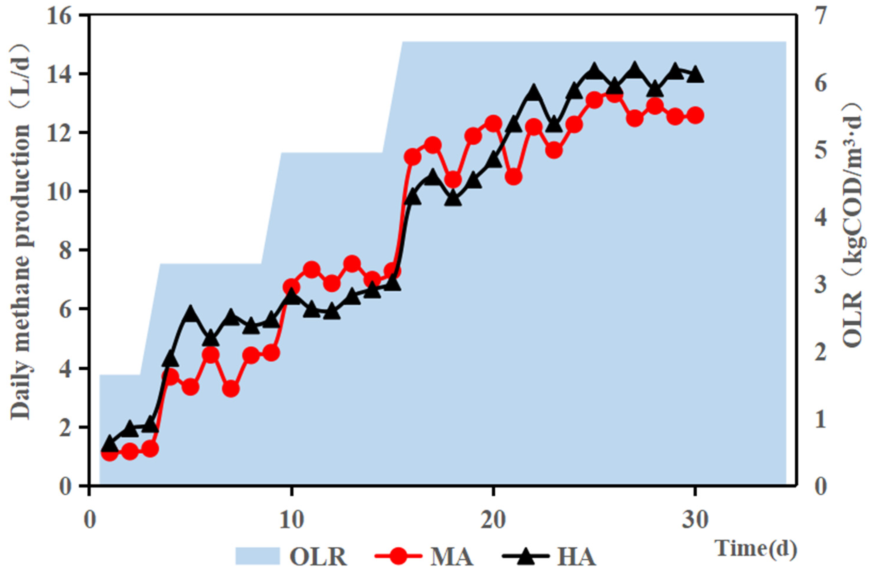Agronomy 14 02991 g004