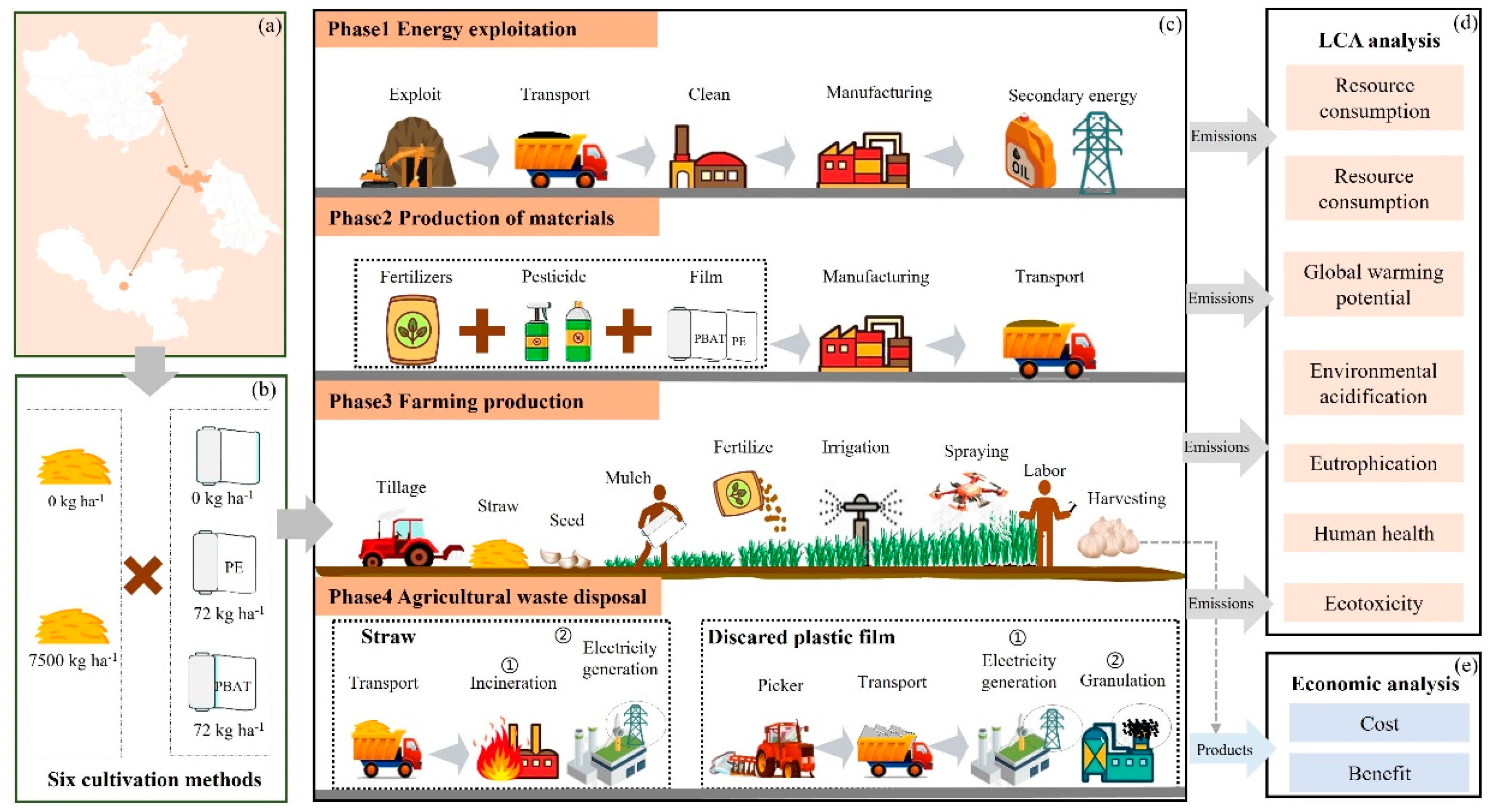 Agronomy 14 02993 g001