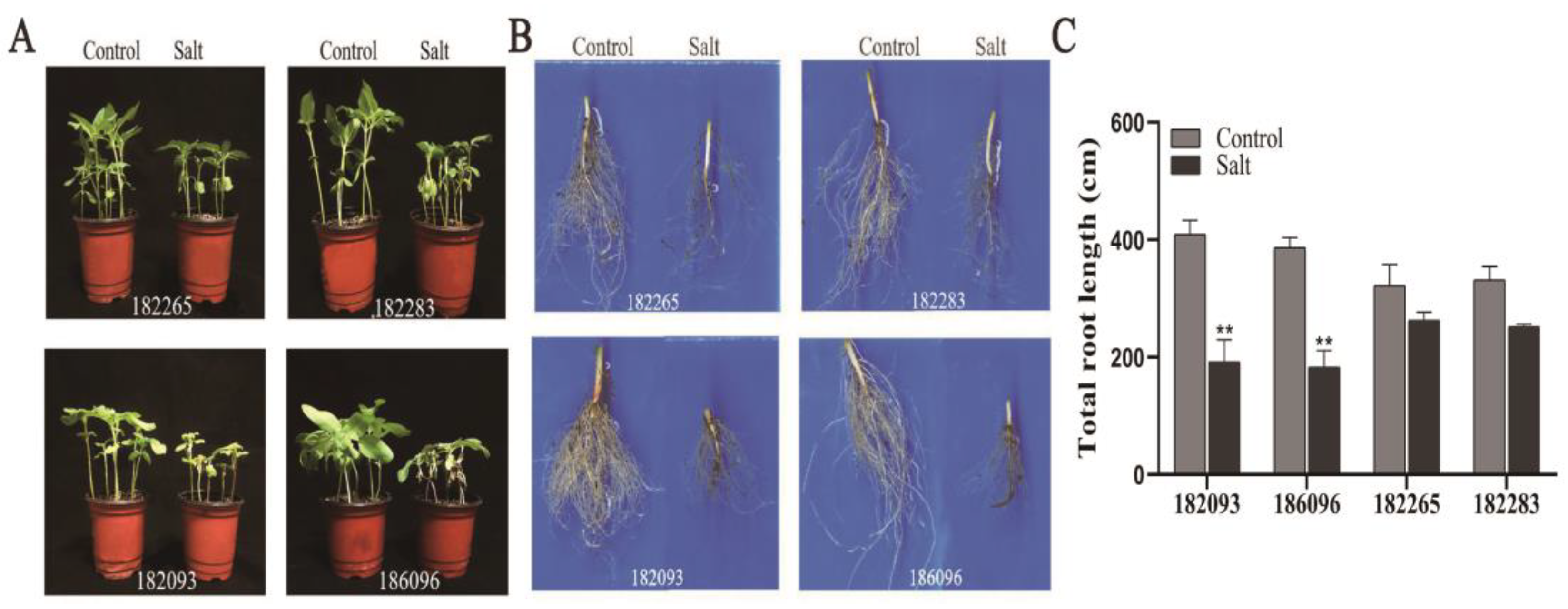Agronomy 14 02995 g001 Agronomy 14 02995 g001
