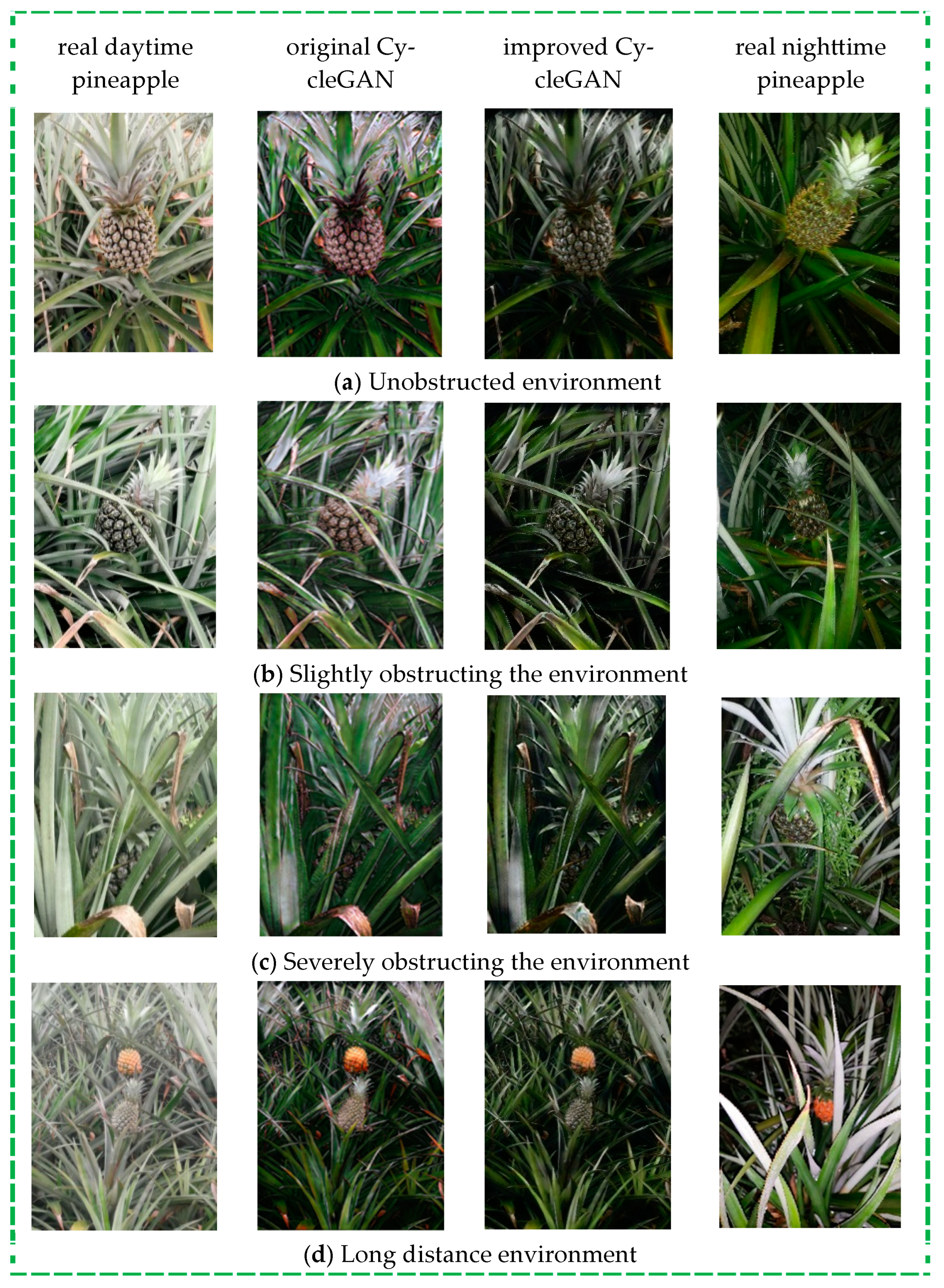 Agronomy 14 03002 g012 Agronomy 14 03002 g012