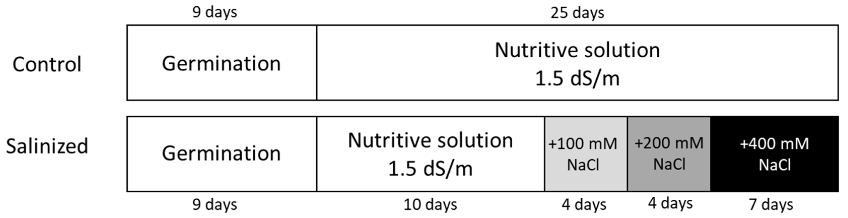 Agronomy 14 03003 g001 Agronomy 14 03003 g001