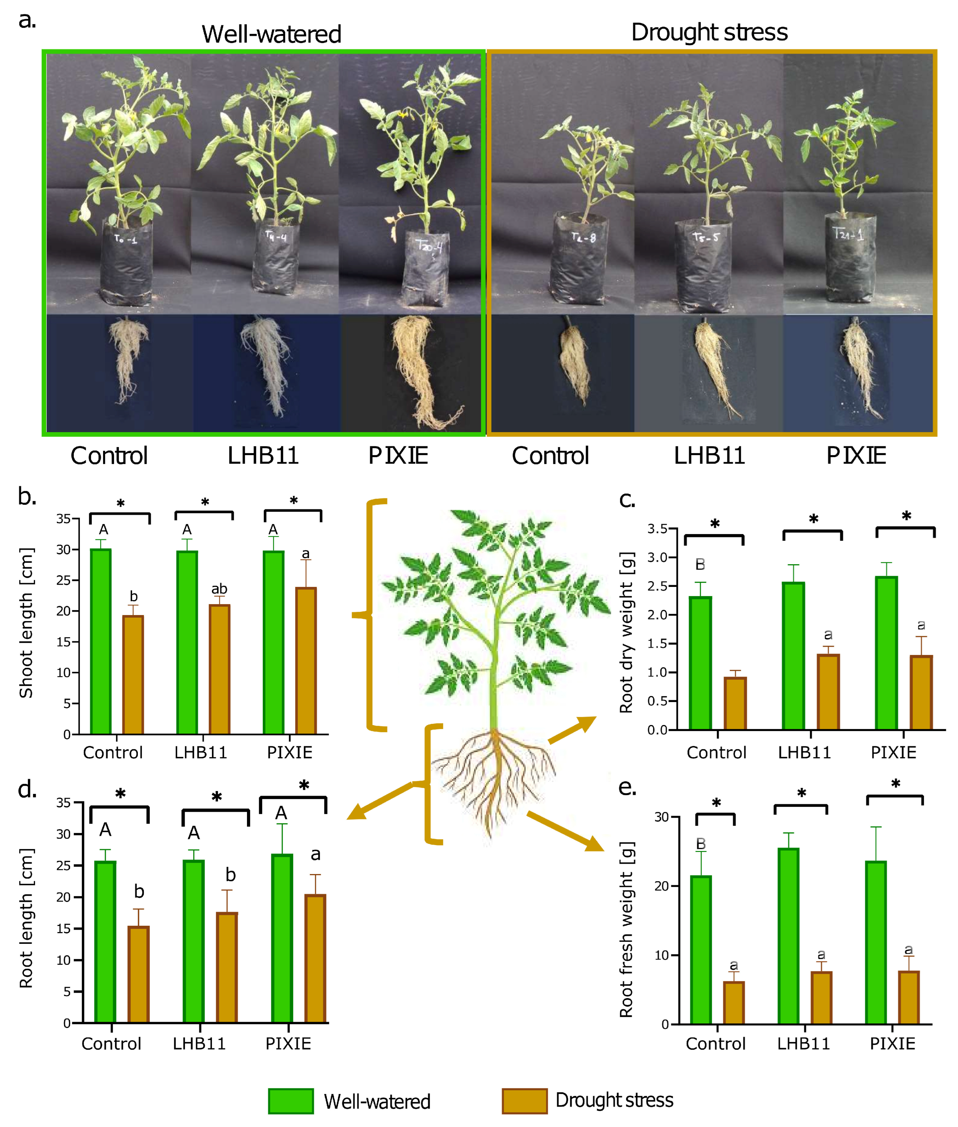 Agronomy 14 03013 g001 Agronomy 14 03013 g001