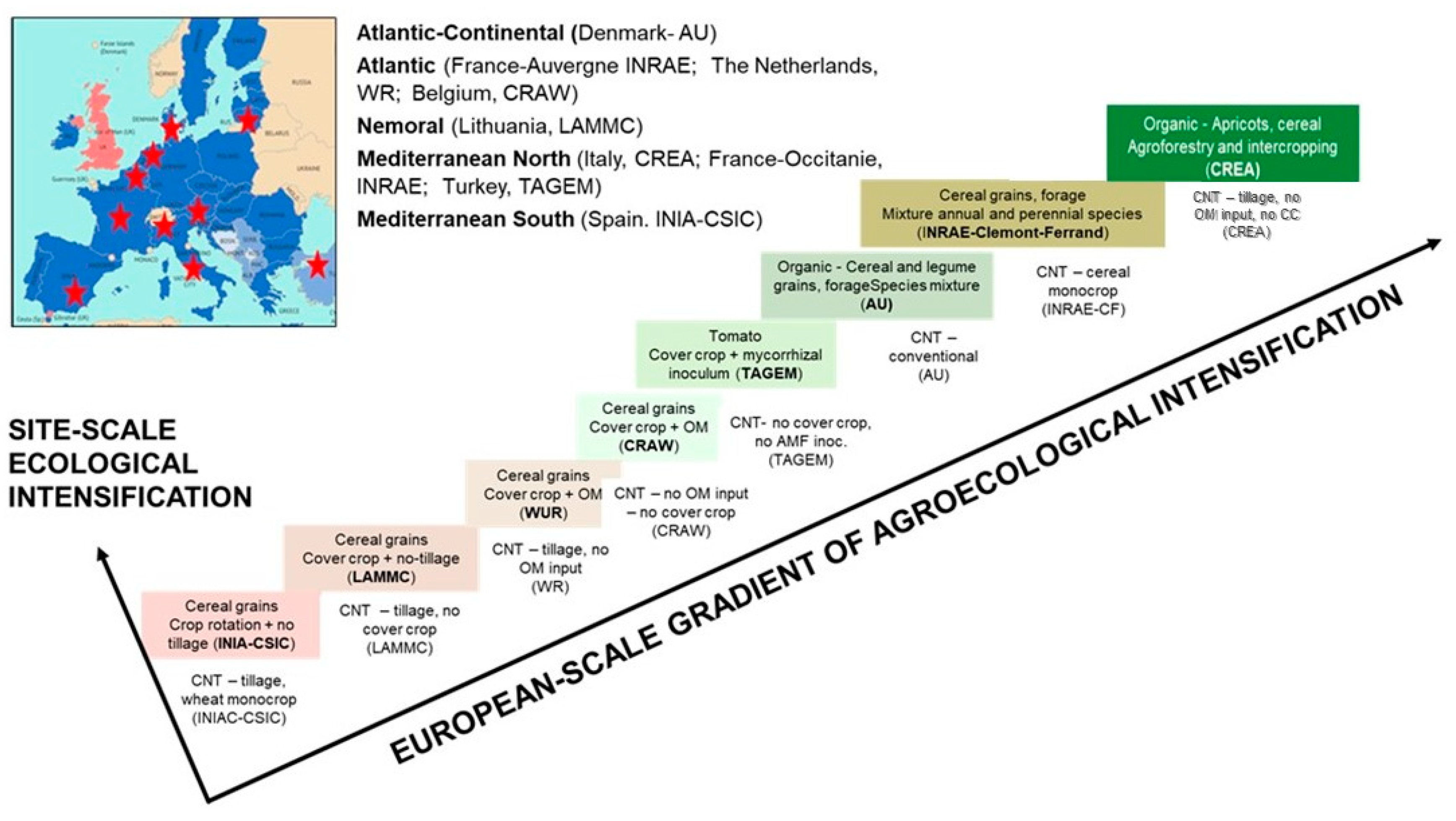 Agronomy 14 03024 g001