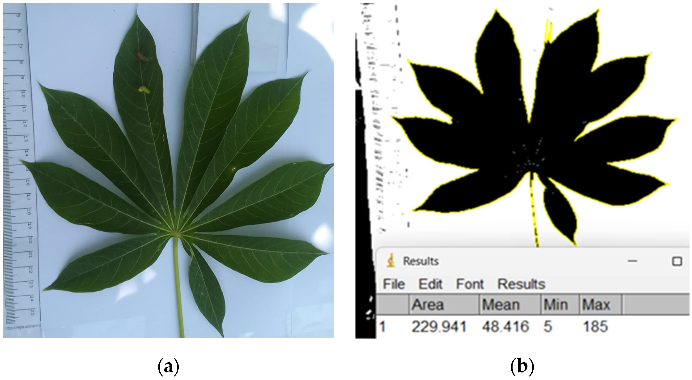 Agronomy 14 03041 g002 Agronomy 14 03041 g002