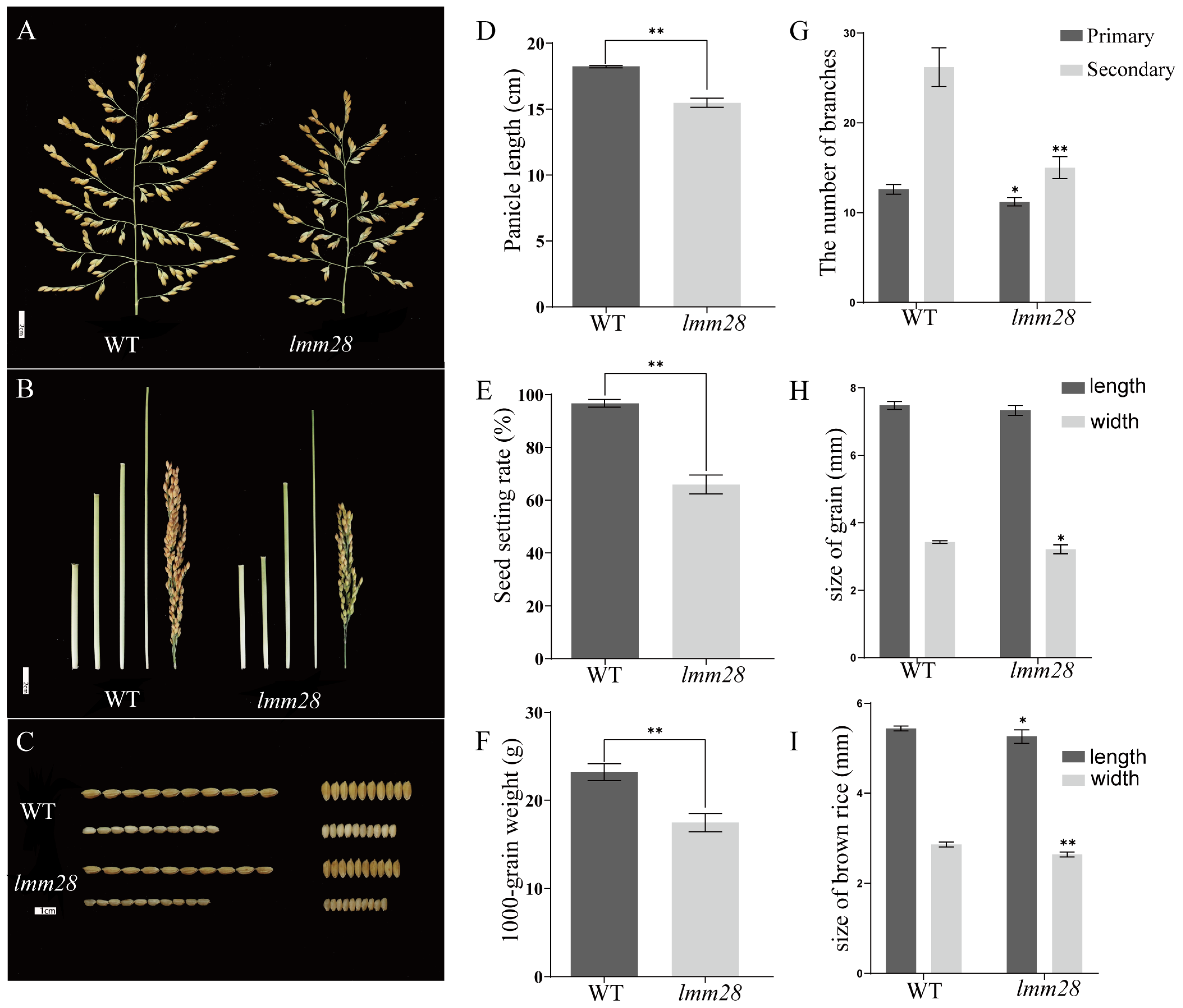 Agronomy 14 03048 g002