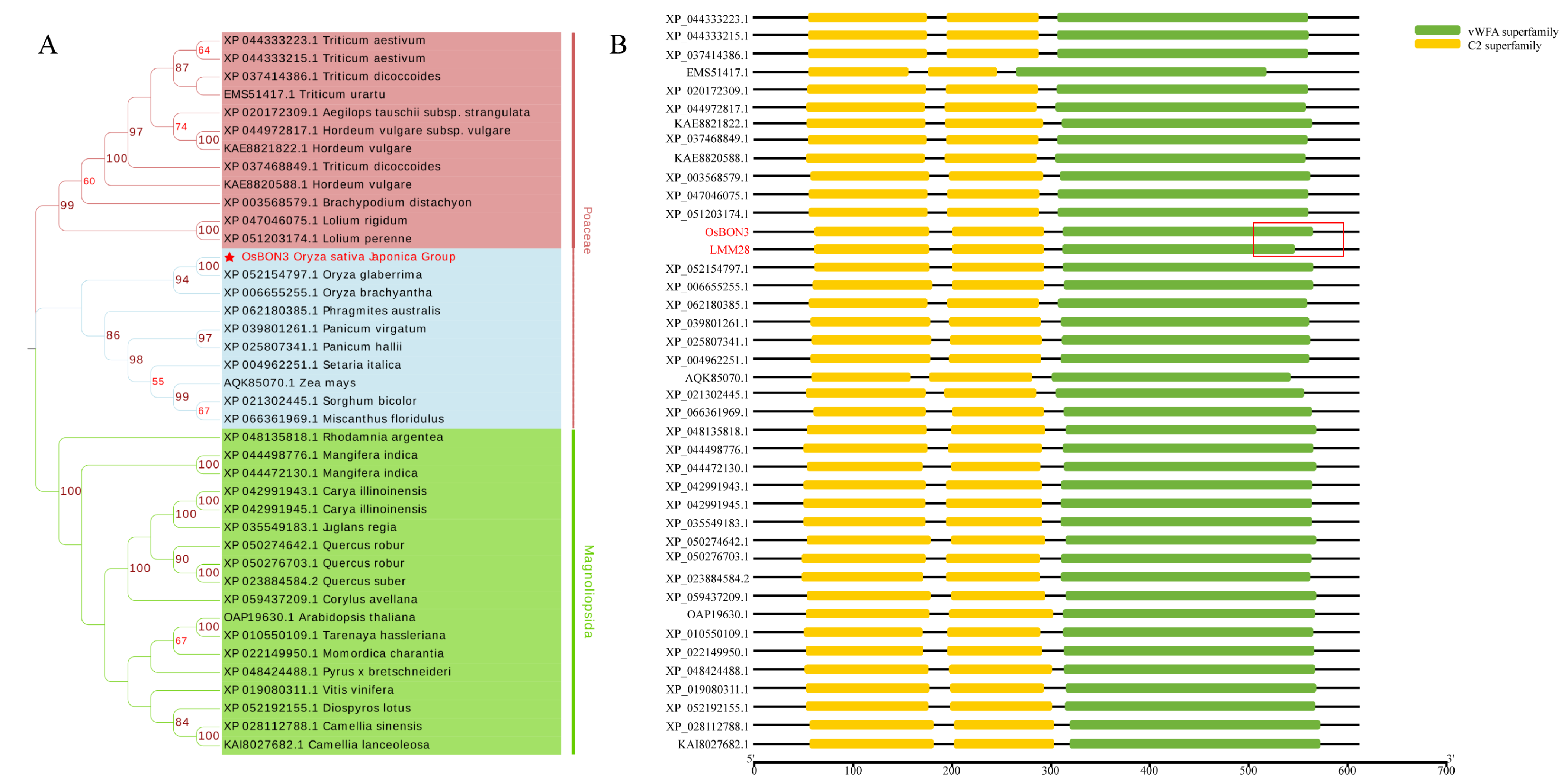 Agronomy 14 03048 g006