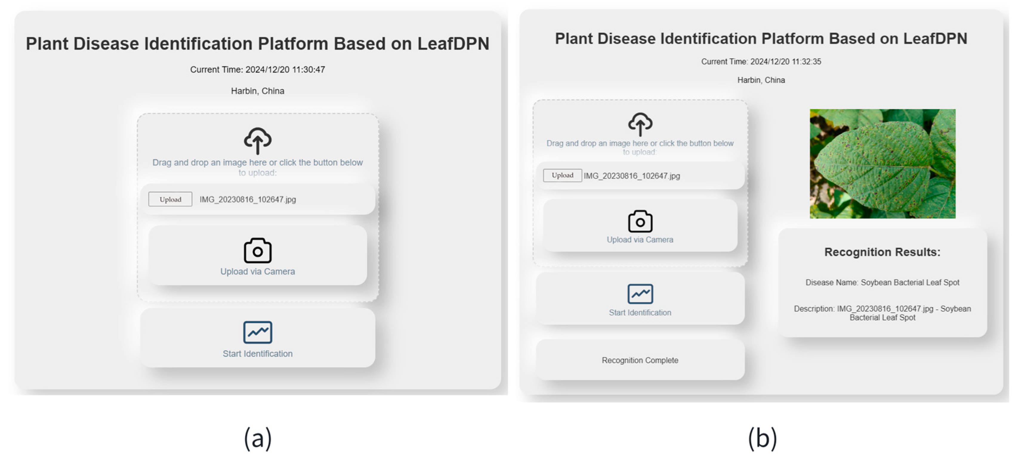 Agronomy 14 03064 g009