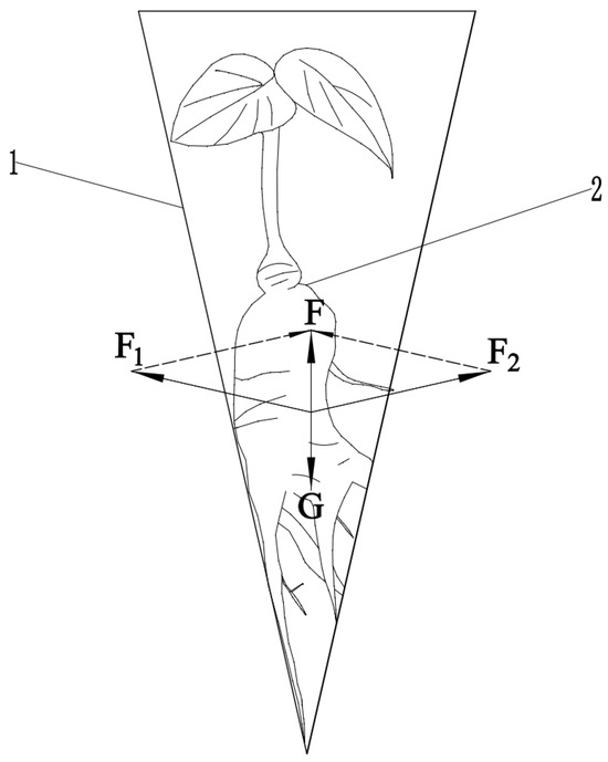 Agronomy 14 03076 g009