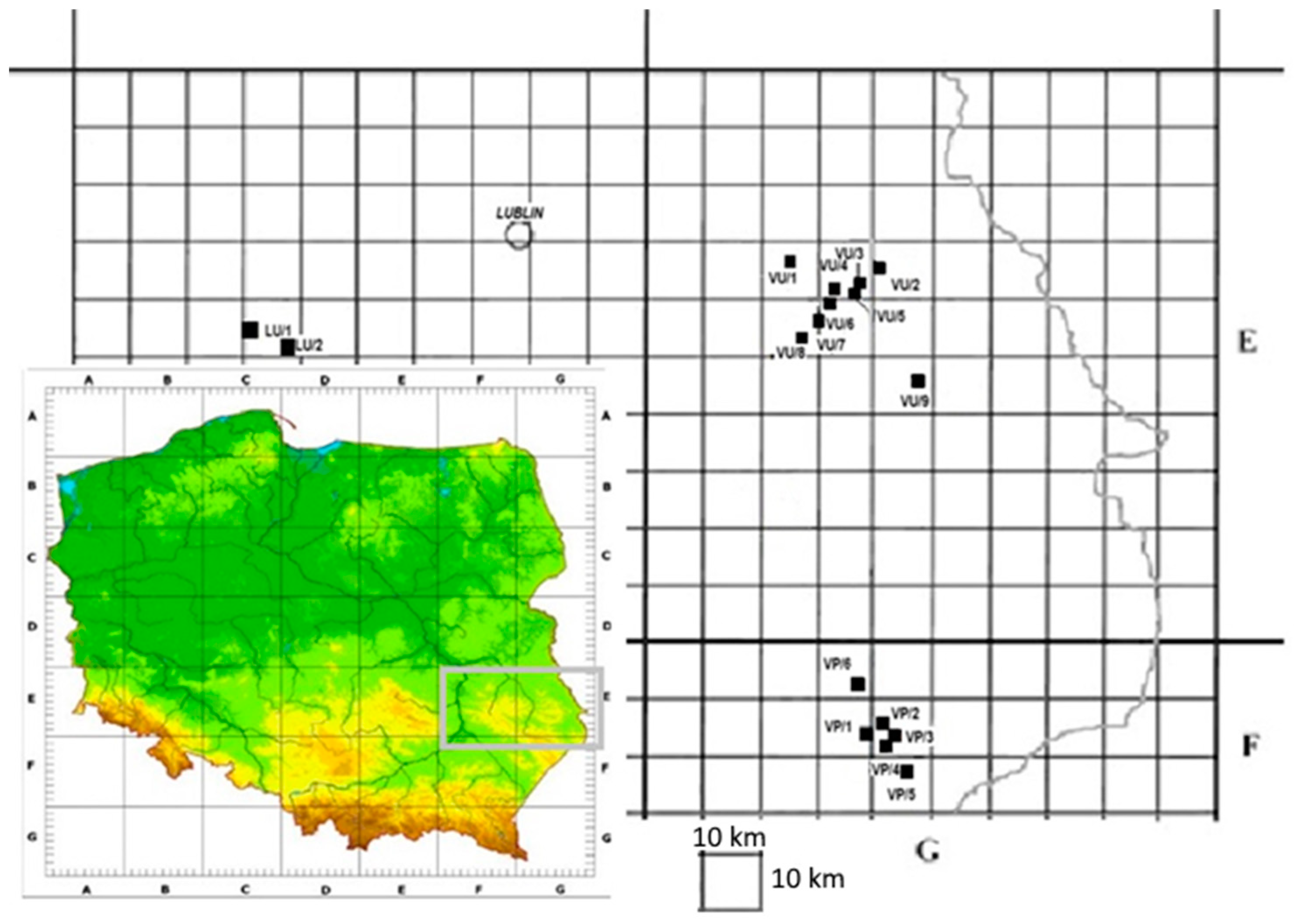 Agronomy 15 00003 g001