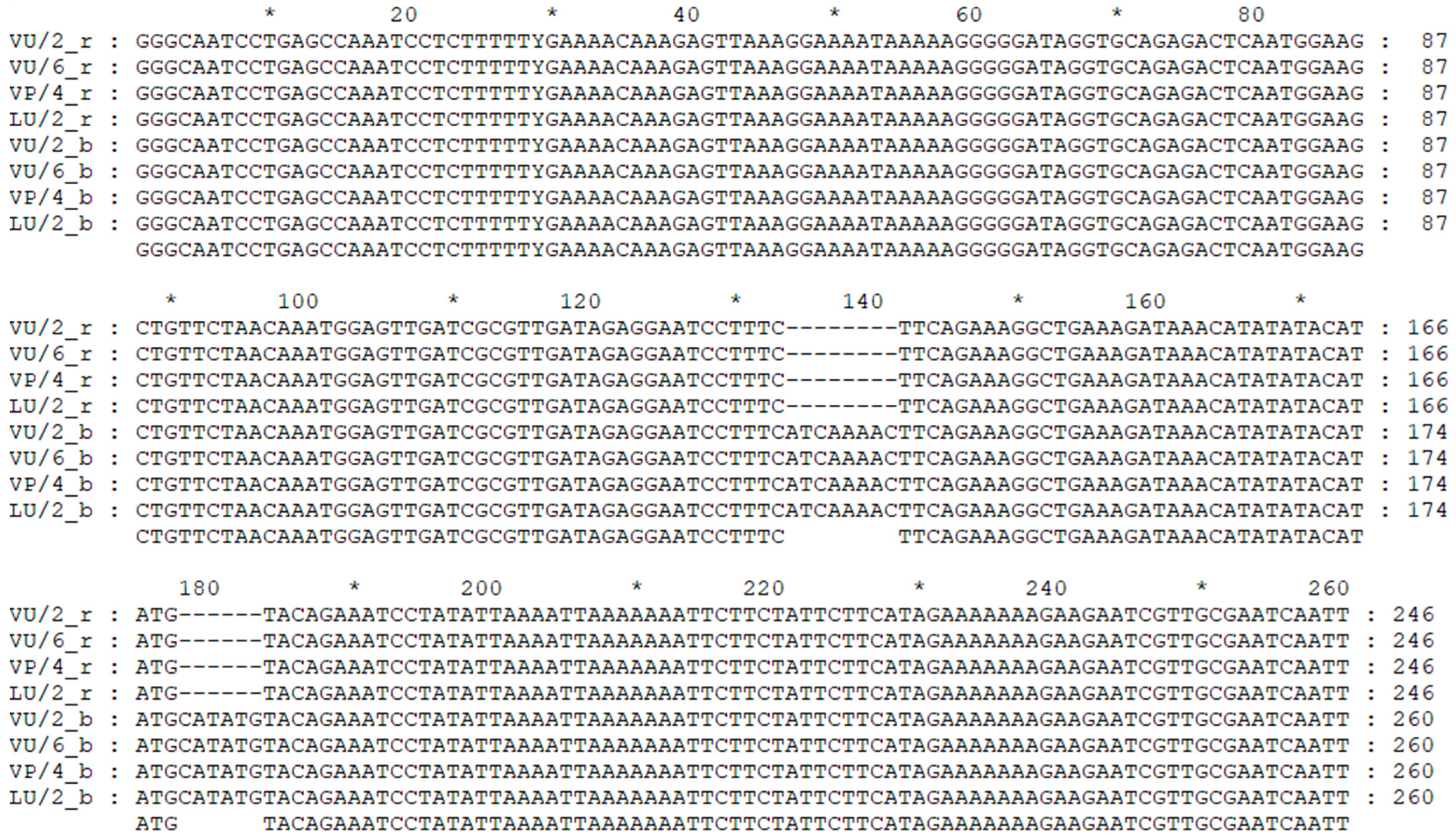 Agronomy 15 00003 g002