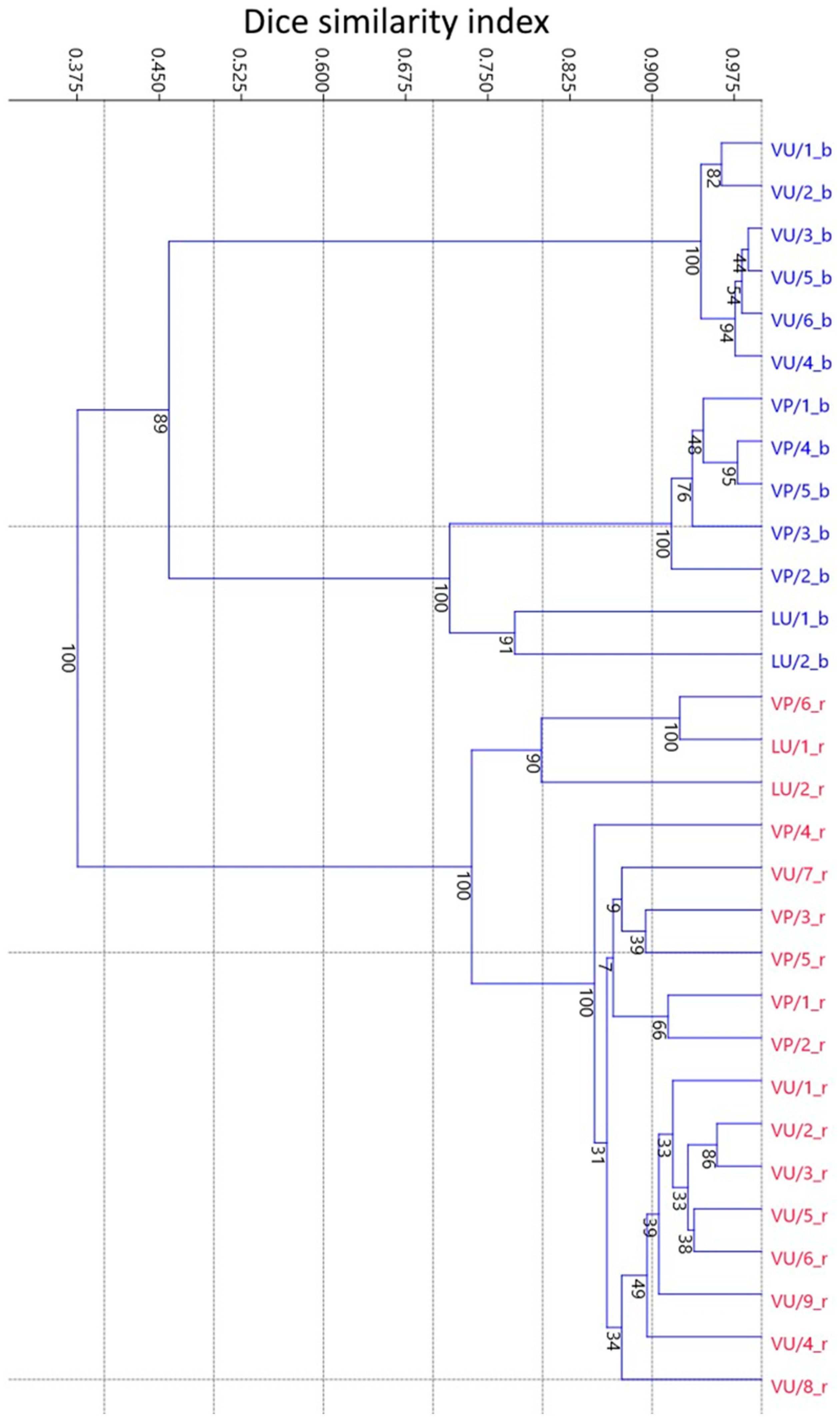 Agronomy 15 00003 g004