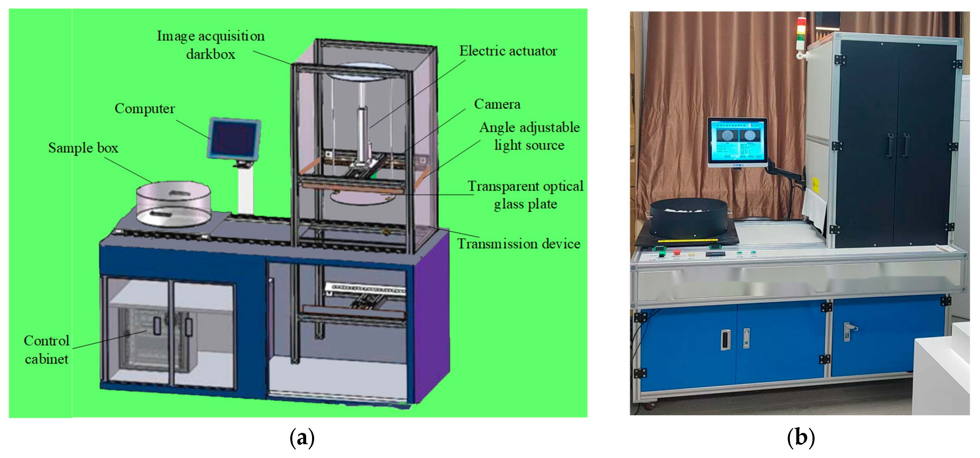 Agronomy 15 00019 g004