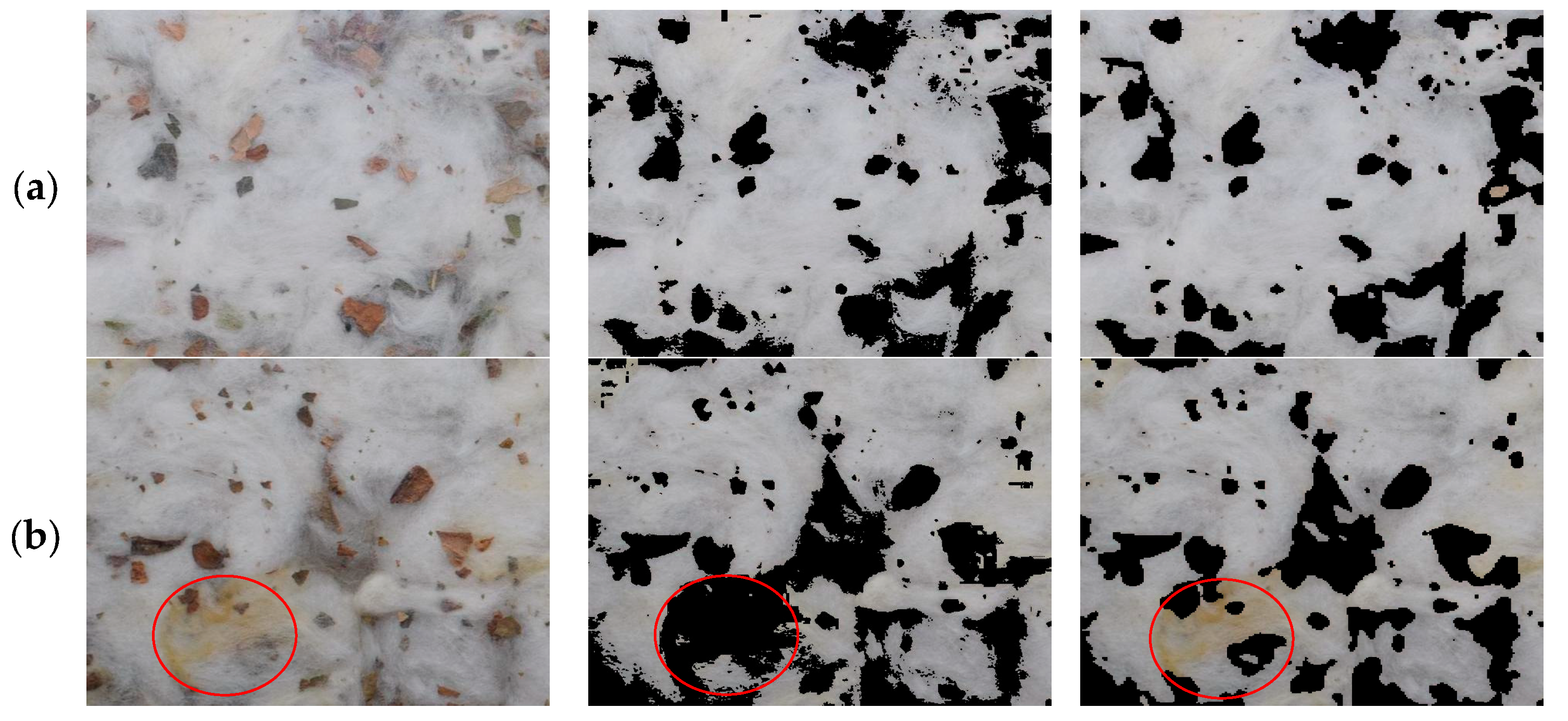 Agronomy 15 00019 g011a