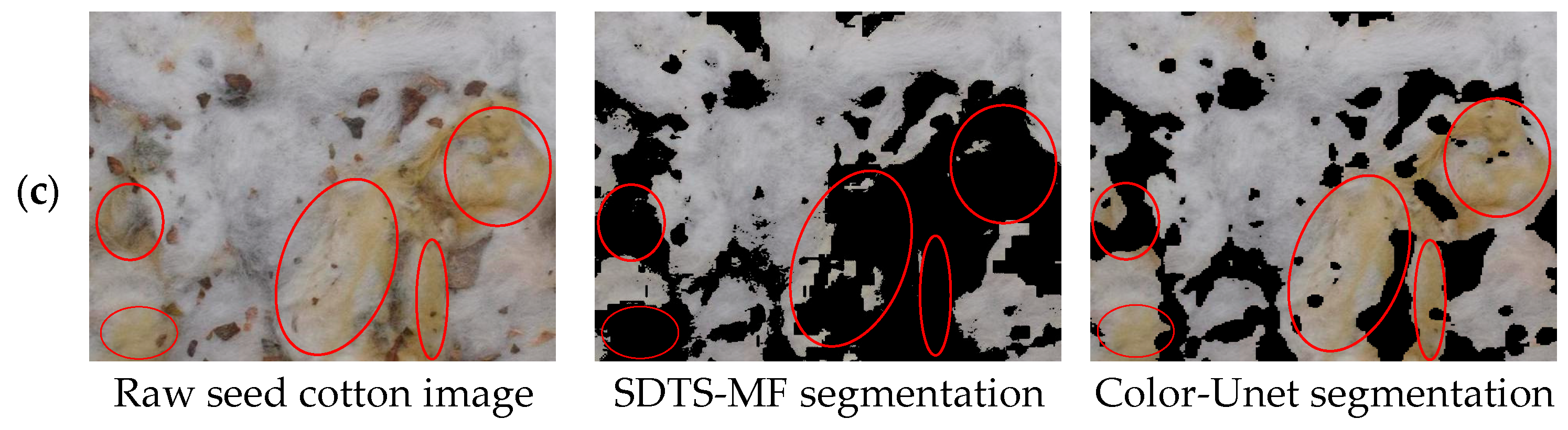 Agronomy 15 00019 g011b