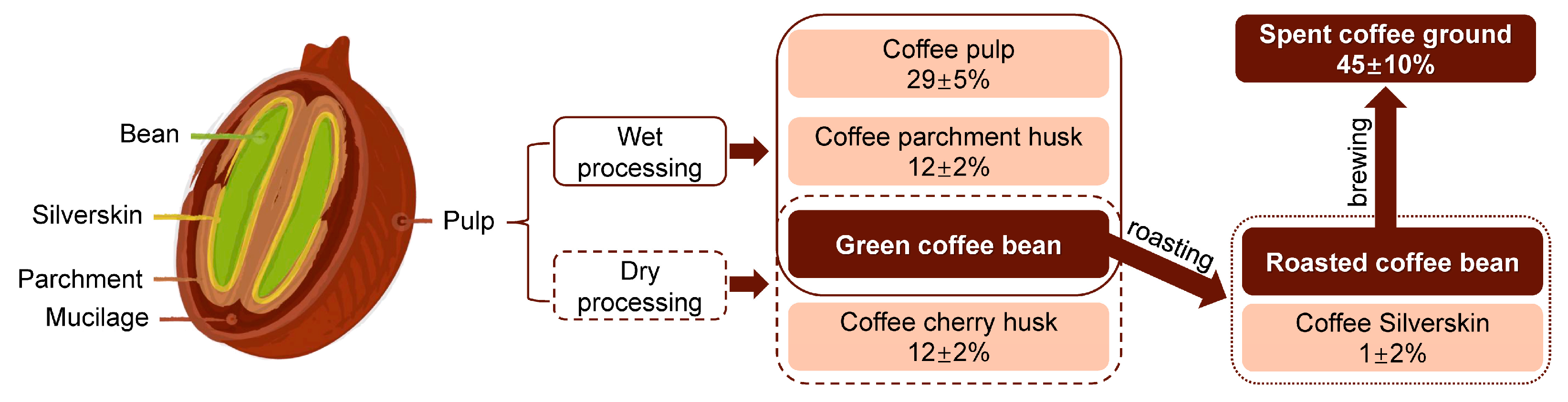 Agronomy 15 00026 g001