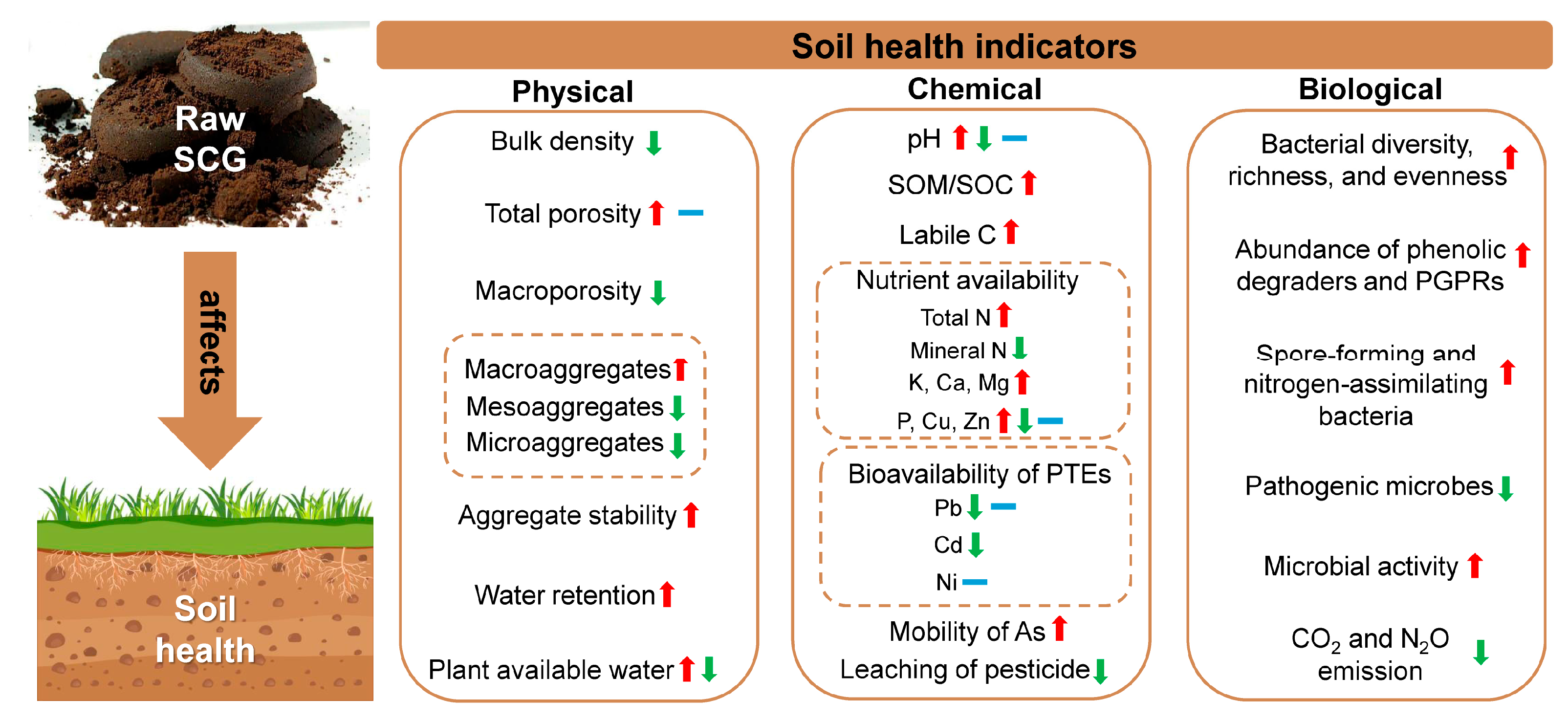 Agronomy 15 00026 g003
