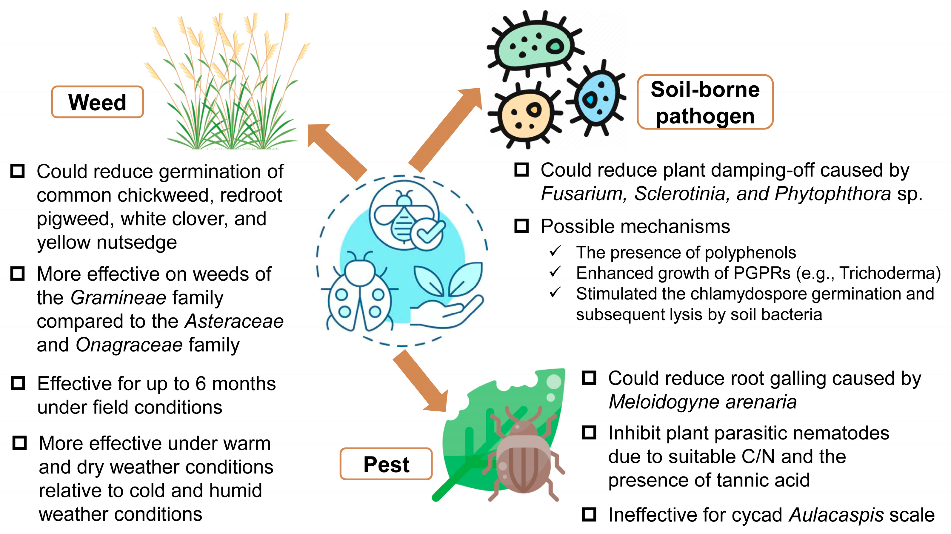 Agronomy 15 00026 g005