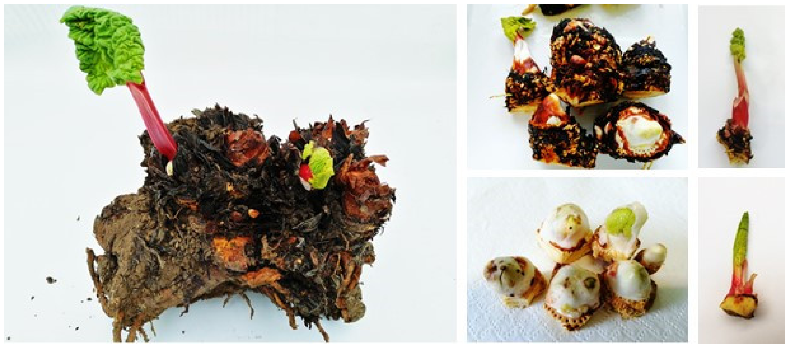 Agronomy 15 00027 g001