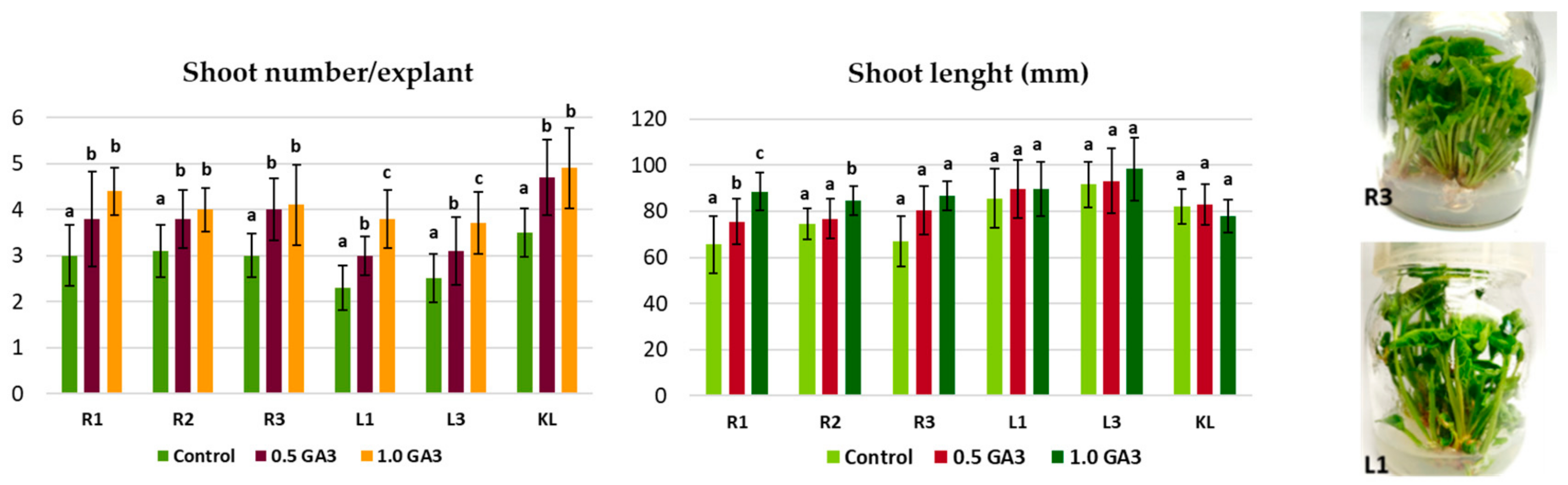 Agronomy 15 00027 g005