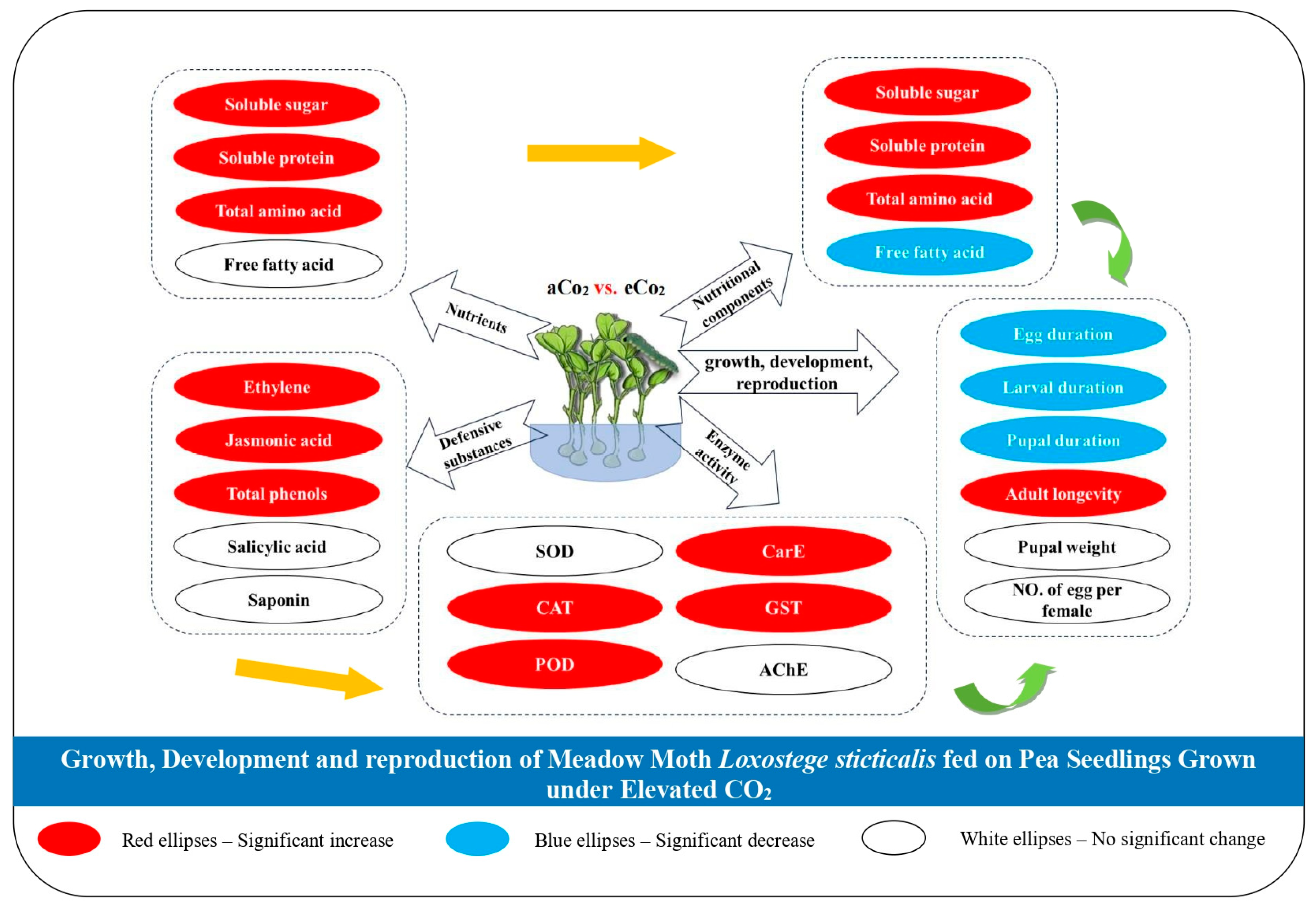 Agronomy 15 00030 g002