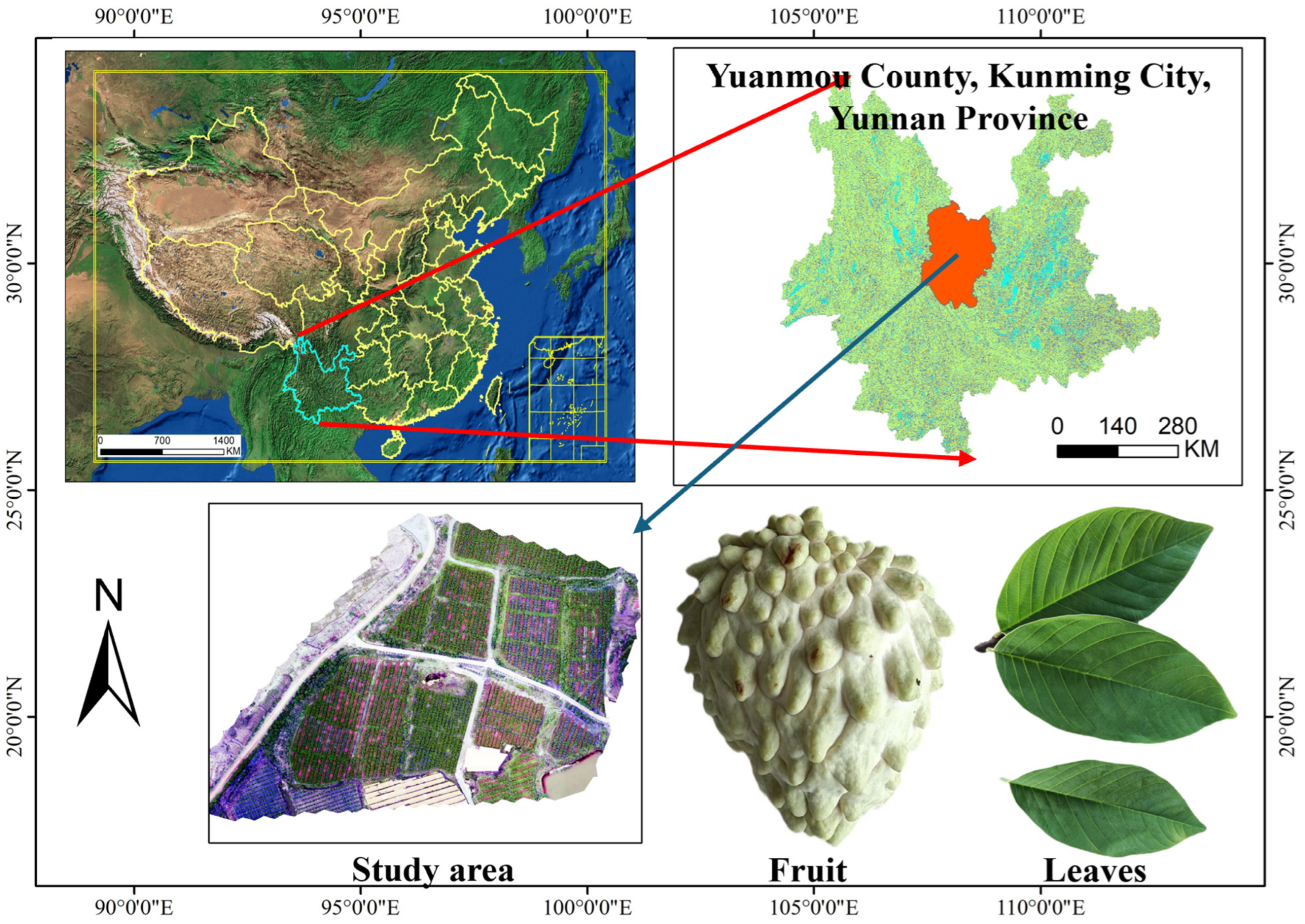 Agronomy 15 00038 g001 Agronomy 15 00038 g001