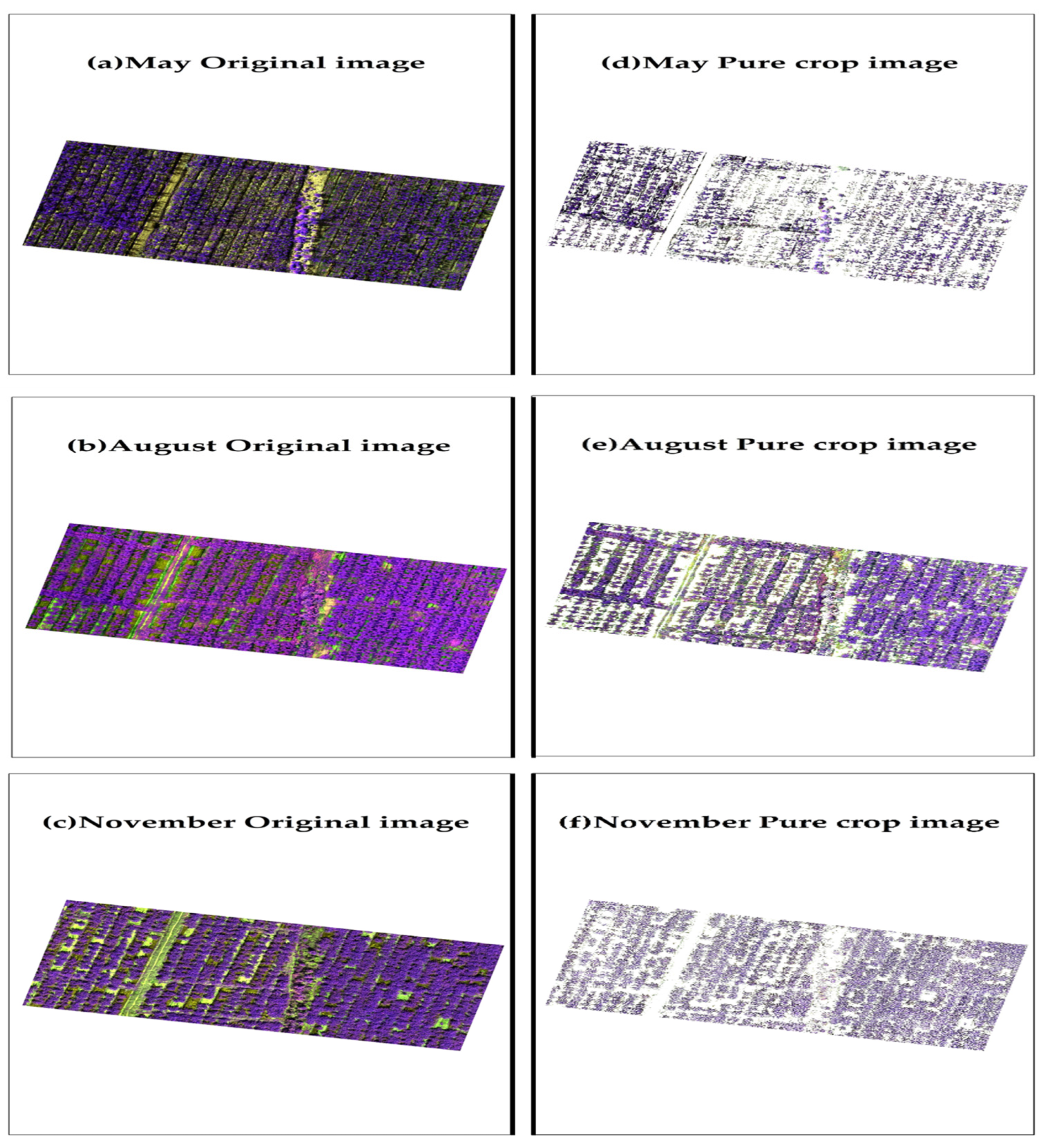 Agronomy 15 00038 g003 Agronomy 15 00038 g003