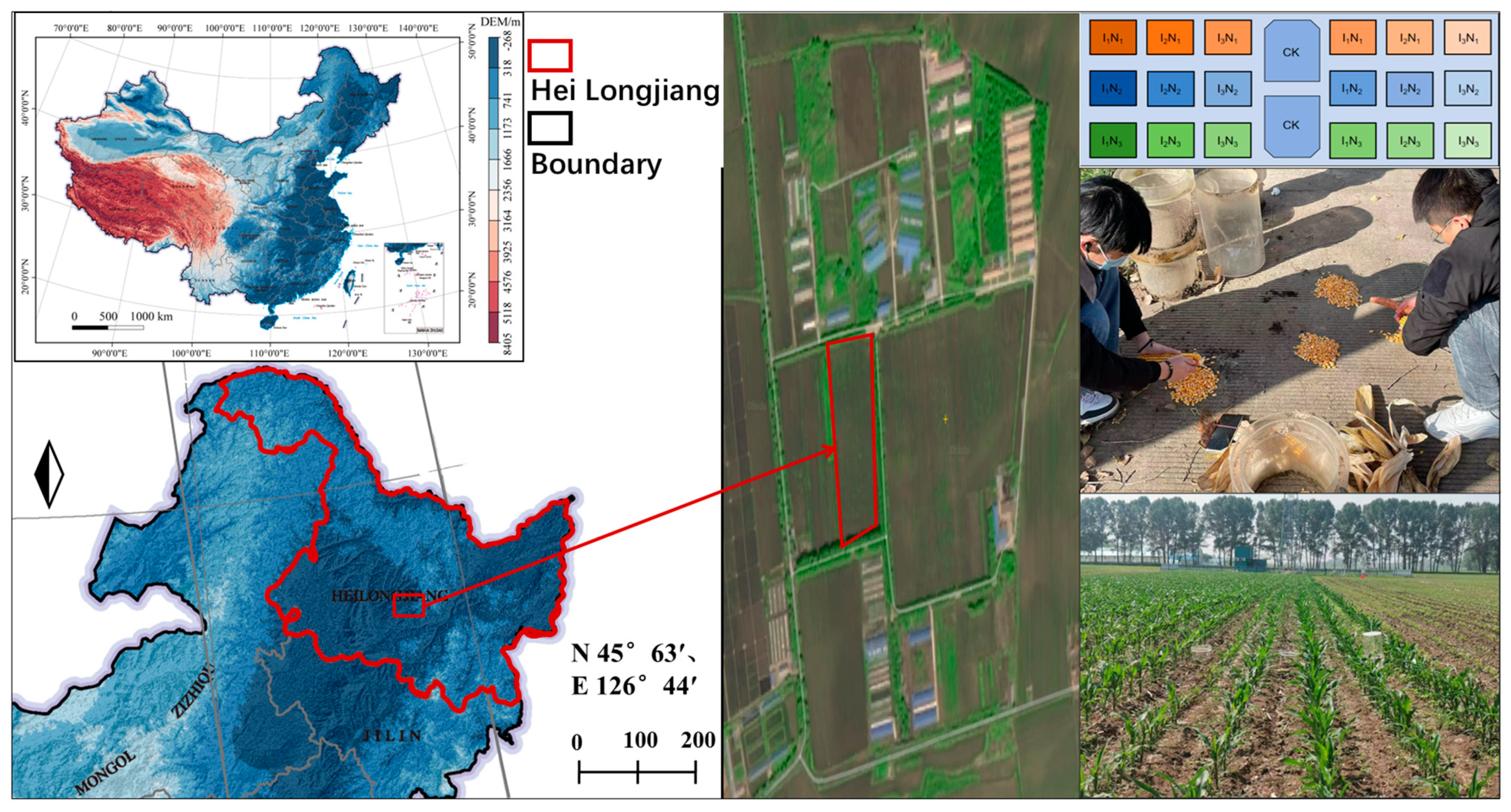 Agronomy 15 00041 g002