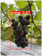 Agronomy 15 00042 i002